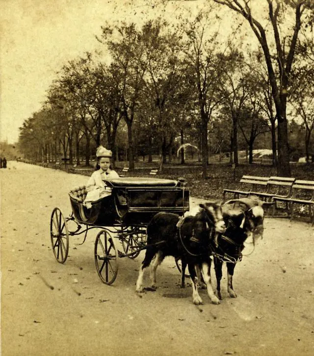New York Old Photos 1870s