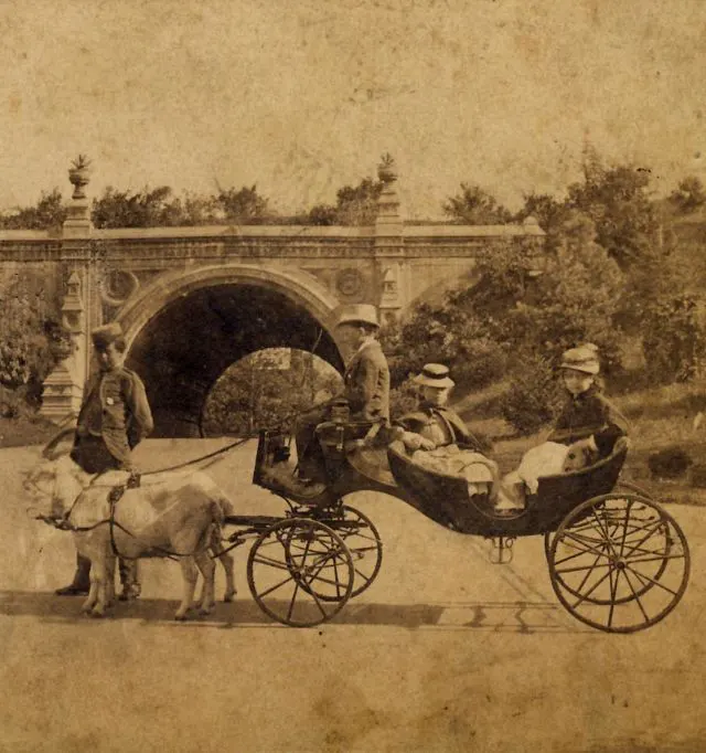 New York Old Photos 1870s