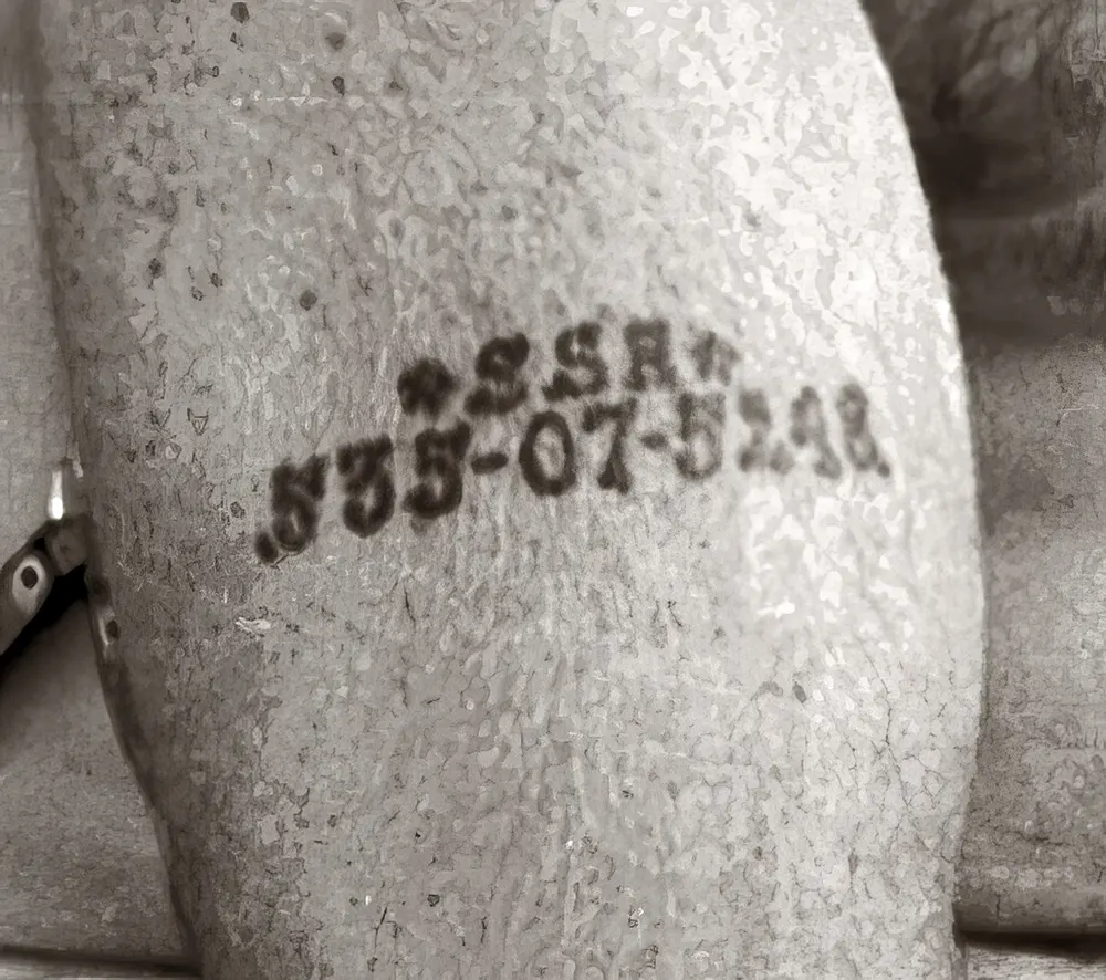 The Iconic Unemployed Worker with a Social Security Tattoo: The Story Behind One of the Most Striking Photos of the Great Depression