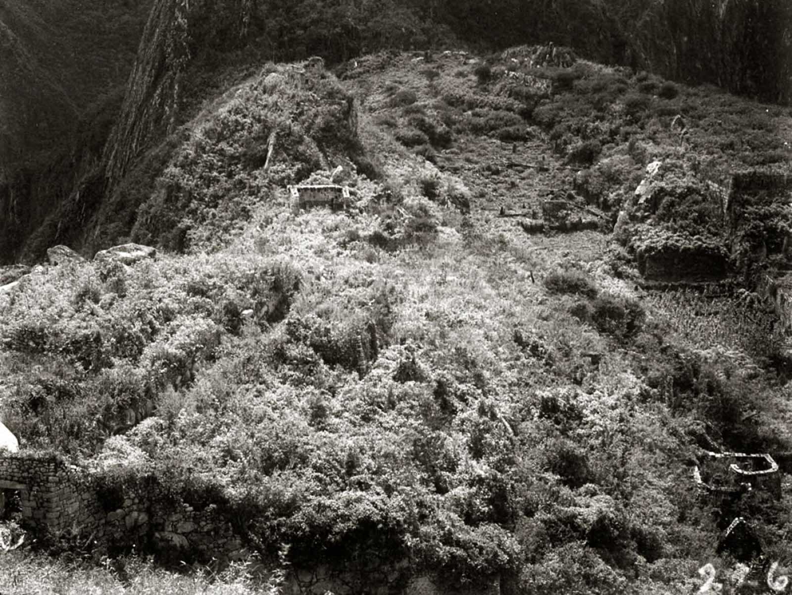 The first photograph upon discovery of Machu Picchu, 1911