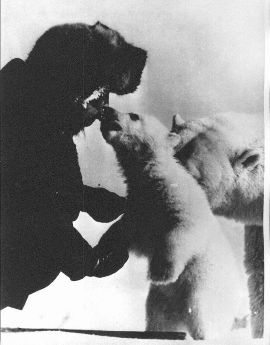 Giving a kiss to the bear cub.