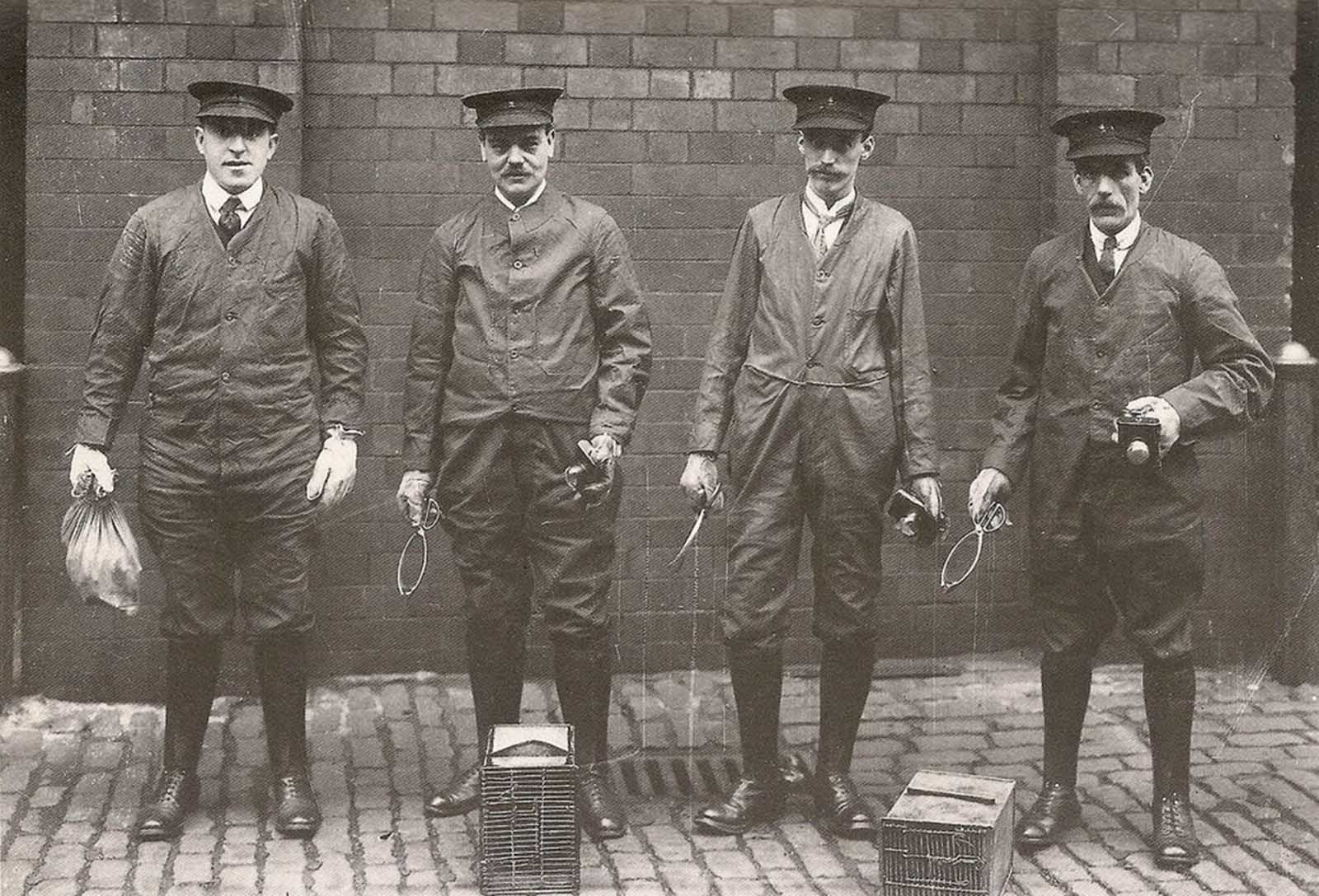 Professional rat-catchers.