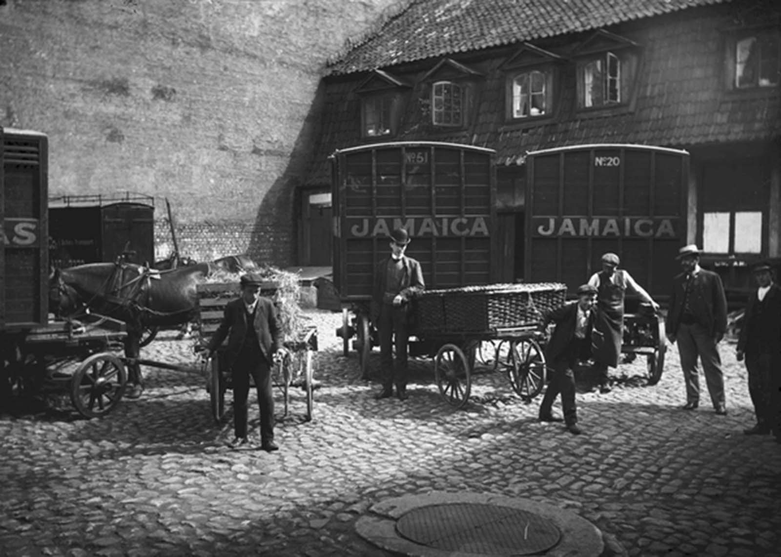 The first bananas in Norway, 1905