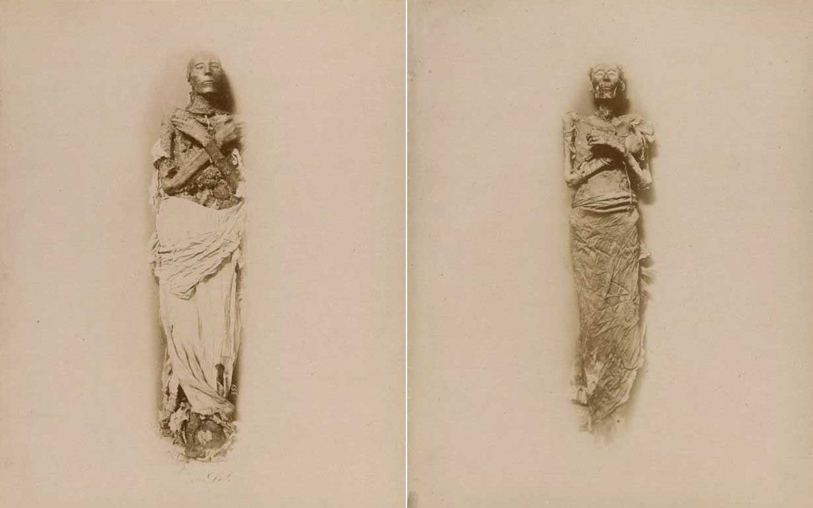 (Left) The mummy of Seti I, who reigned around 1290-1279 BCE. (Right) The mummy of Ramesses II, who reigned 1279-1213 BCE.