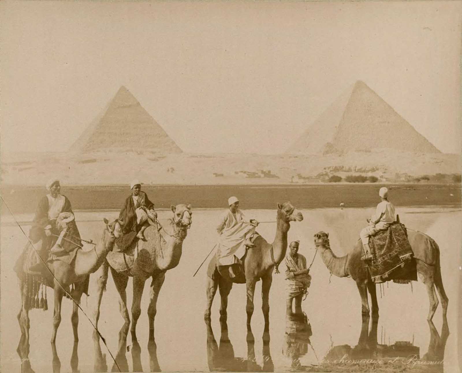 Camel riders near the pyramids.