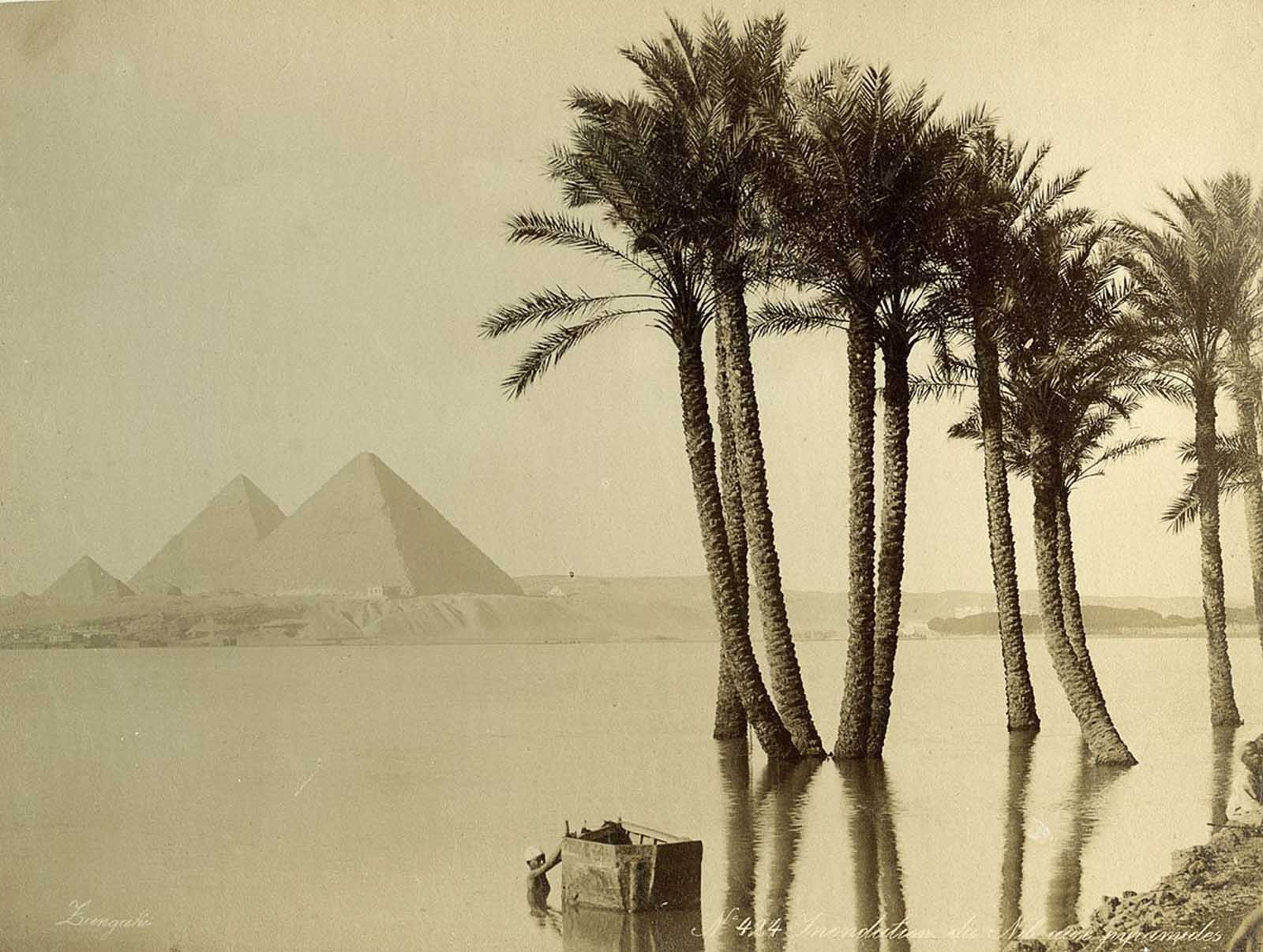 Flooded banks of the Nile.