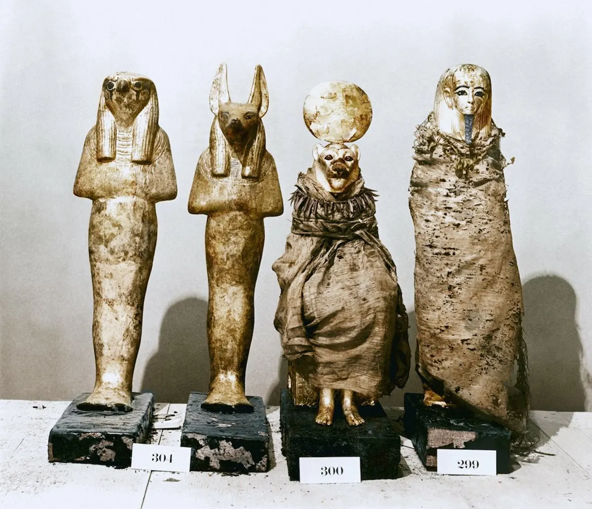 the discovery of tutankhamun