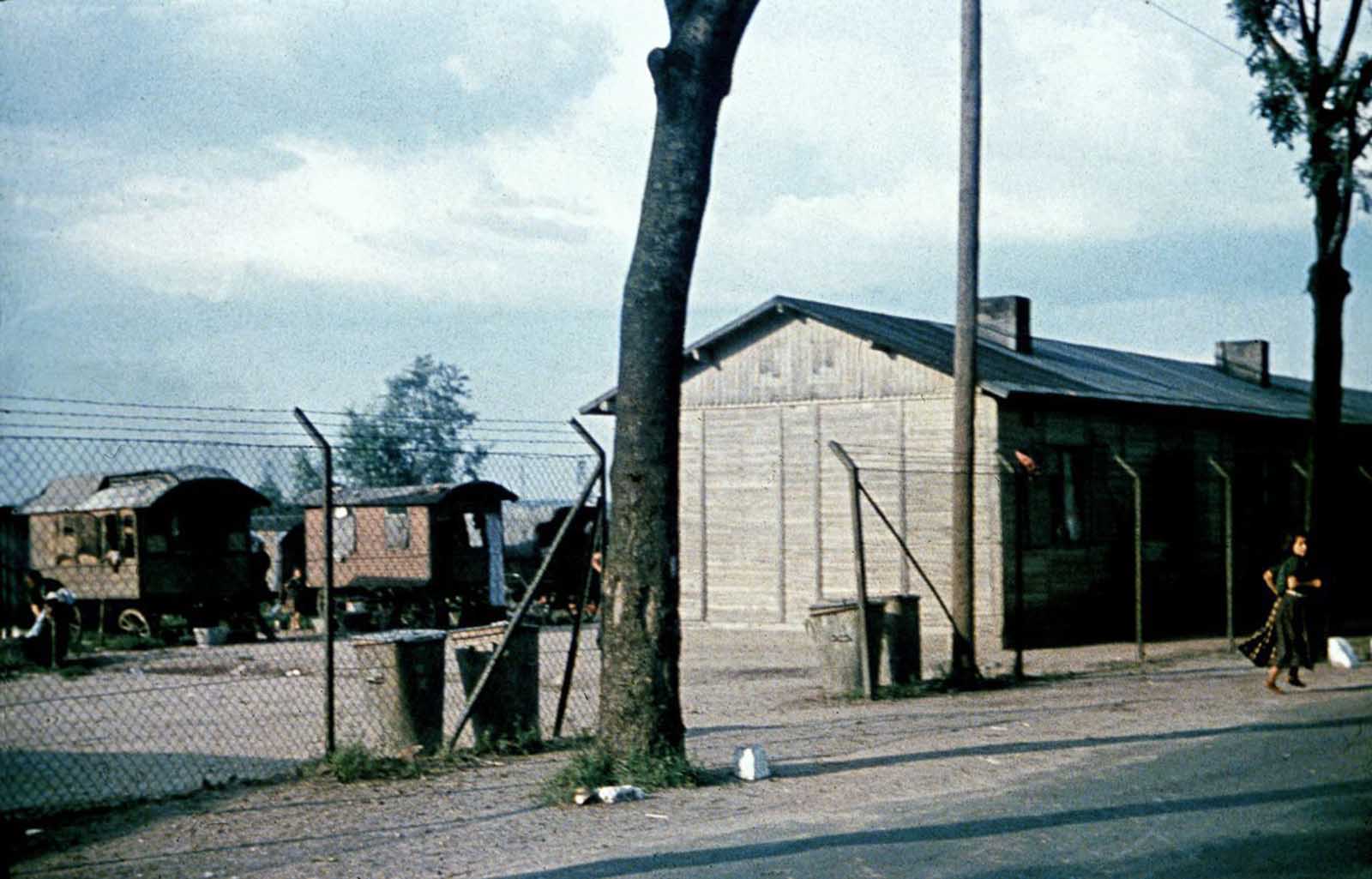 A woman runs outside a Sinti encampment targeted by the Racial Hygiene Research Center. 1940.