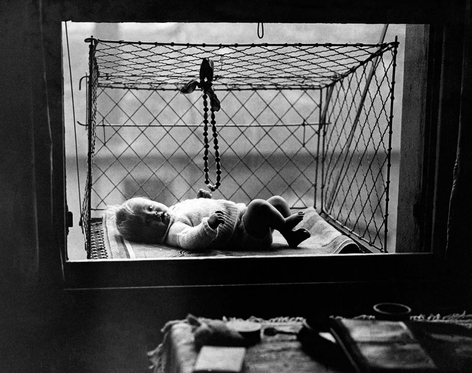 The cages became popular among apartment dwellers without access to backyards.