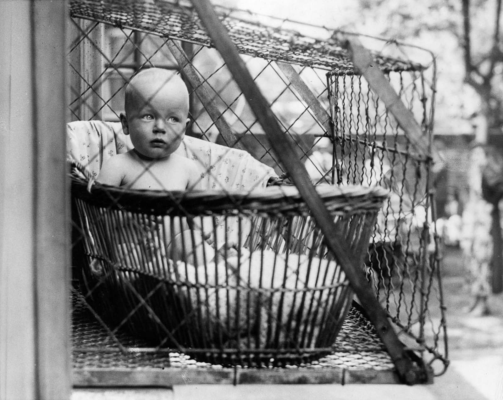 If the cages were in fact secure (though, we assume that about our air-conditioning units, too), maybe these moms were onto something. 1936.