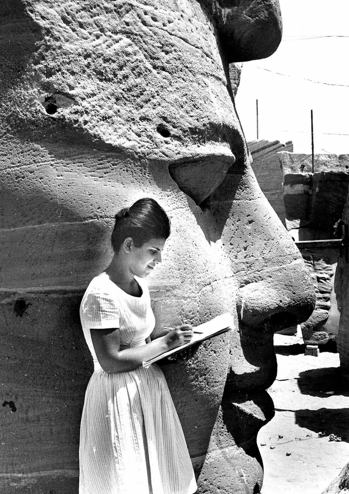 Moving the Temples of Abu Simbel.