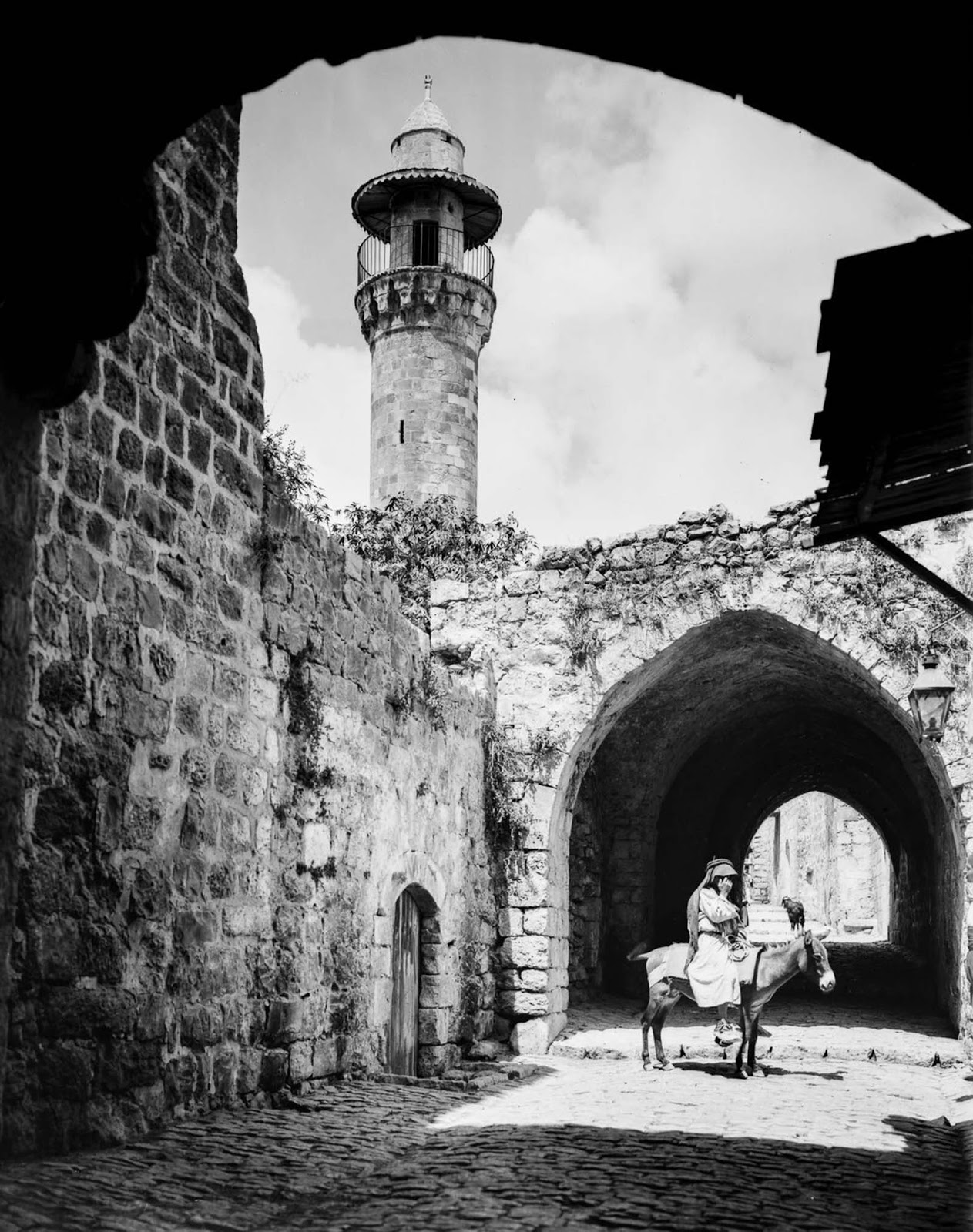 An arab on a donkey. 1900.