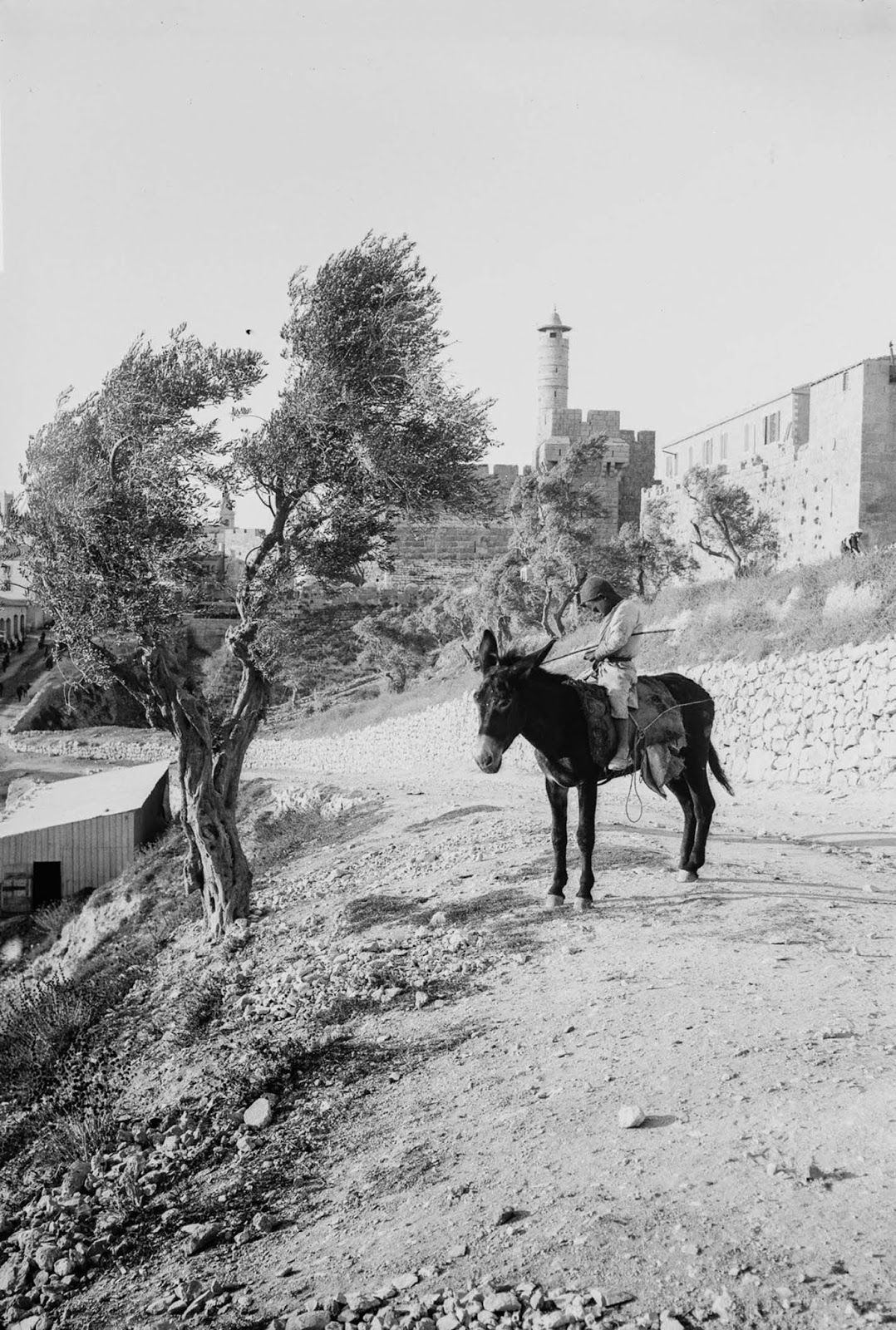 A local kid. Jerusalem, c. 1900.
