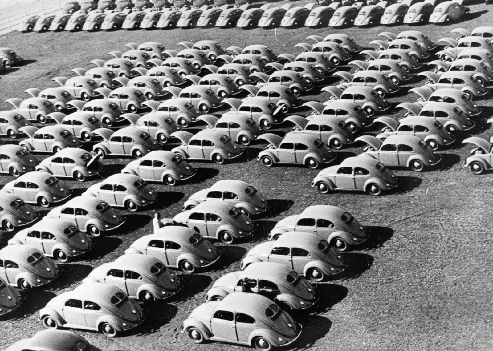 Parked Beetles, 1953.
