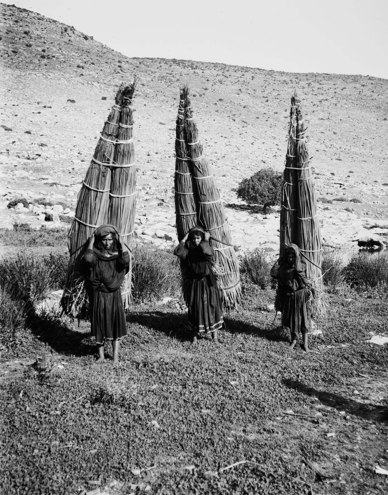 Women carry bundles of papyrus.