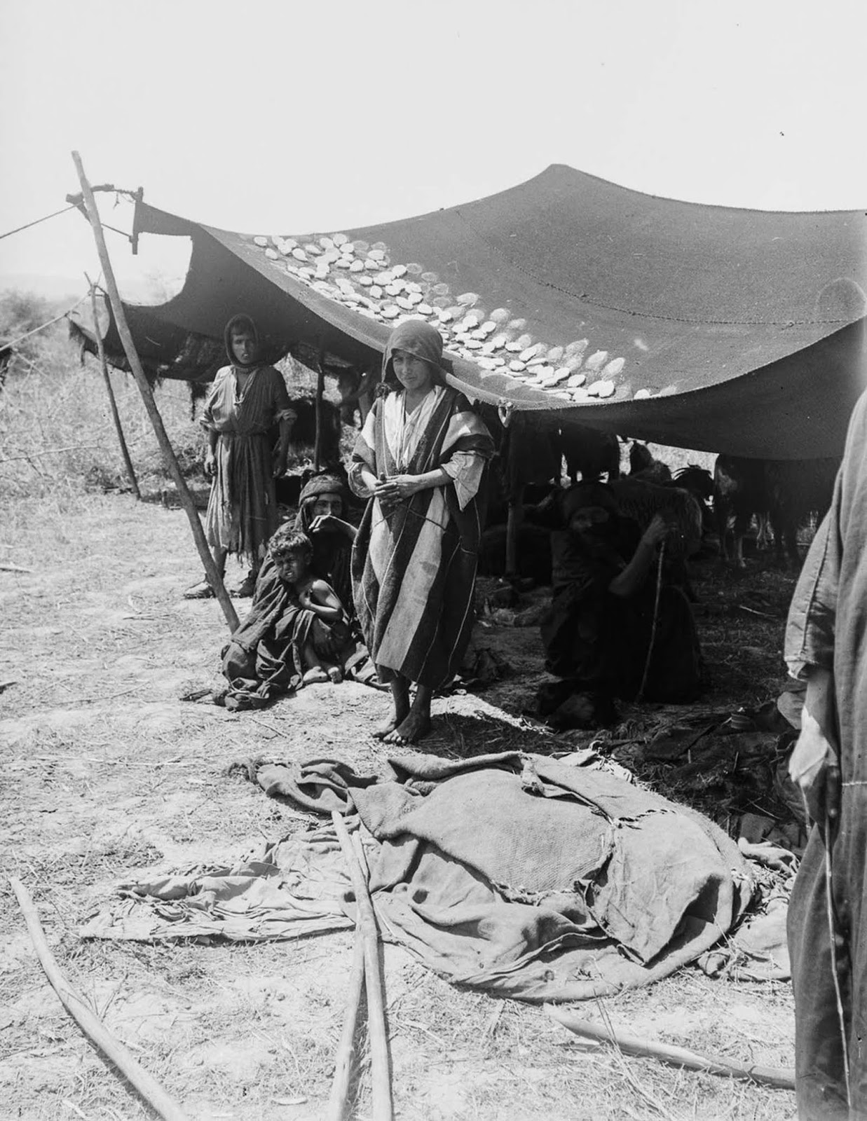 A family dries cheeses on the roof of their tent.