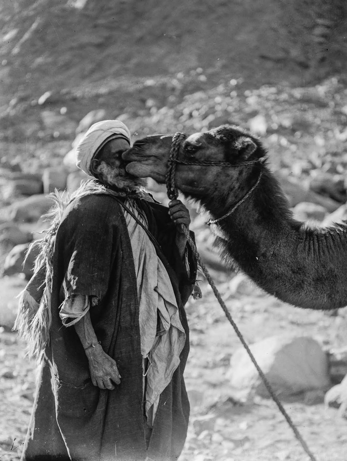 An elderly Bedouin and his camel.