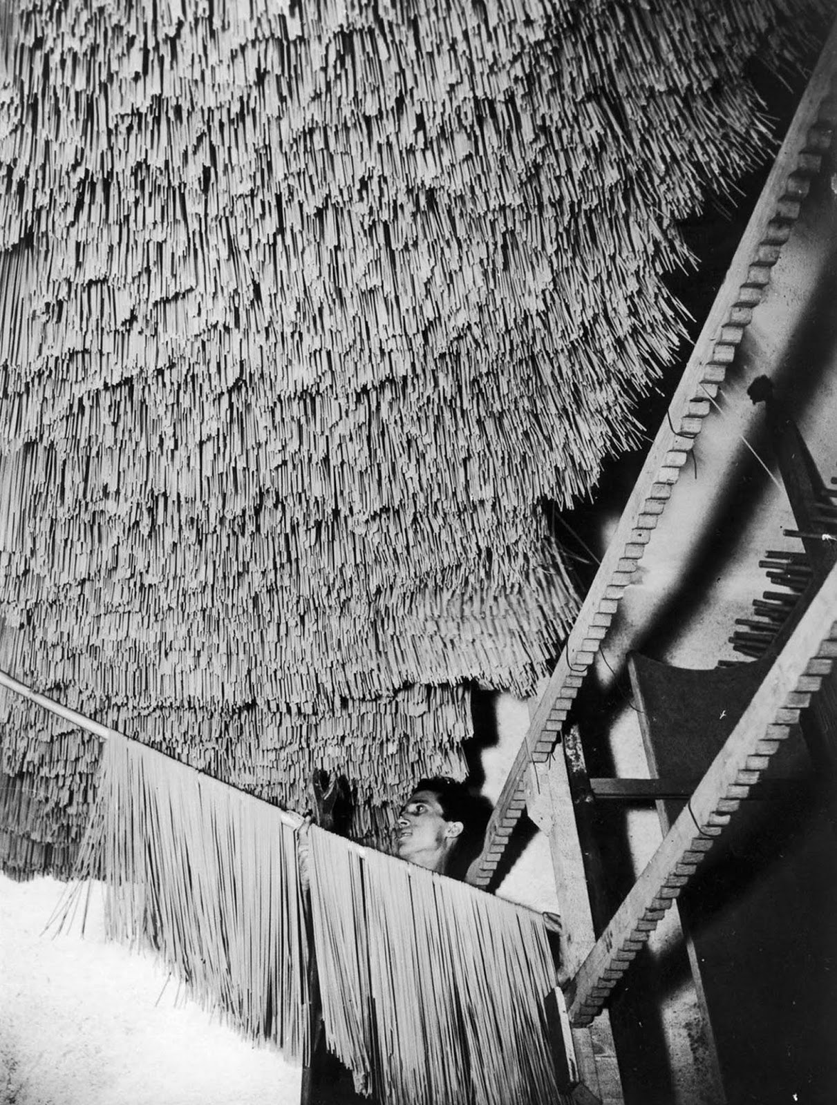 Spaghetti hangs in a drain chamber in an Italian pasta factory. Date unknown.