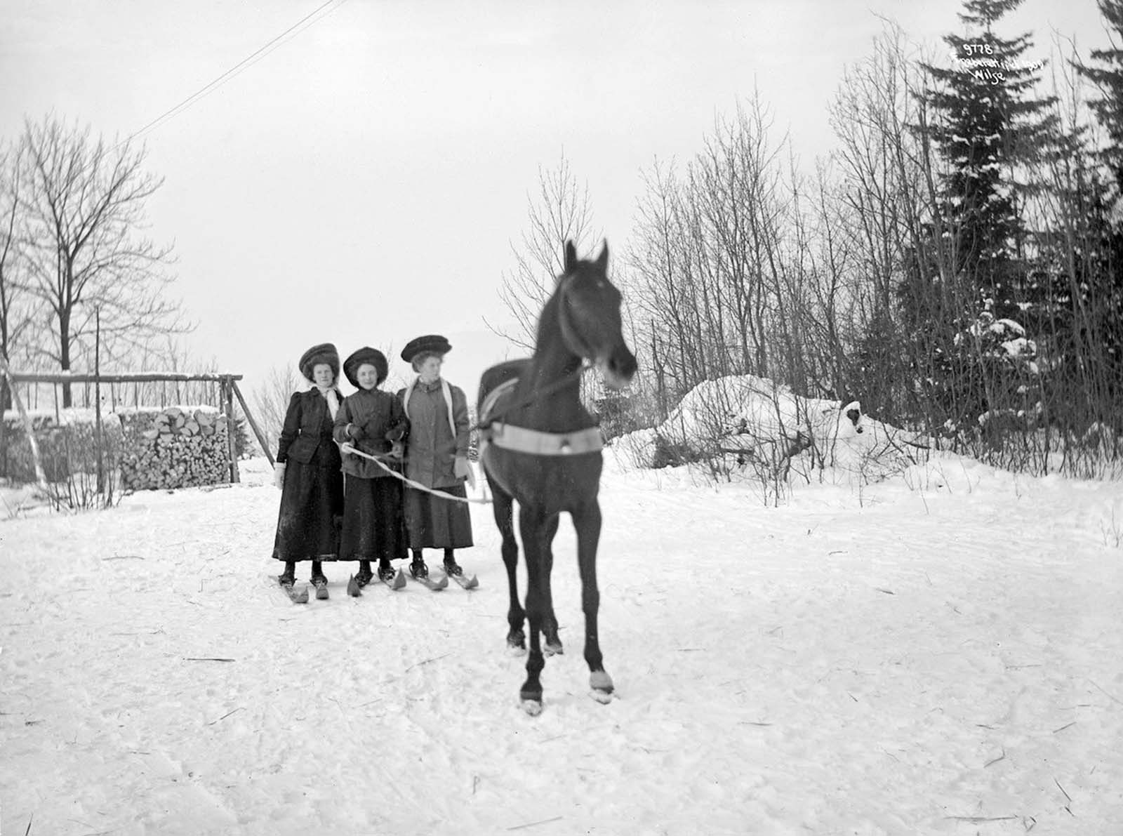Three women ready to start skijoring.