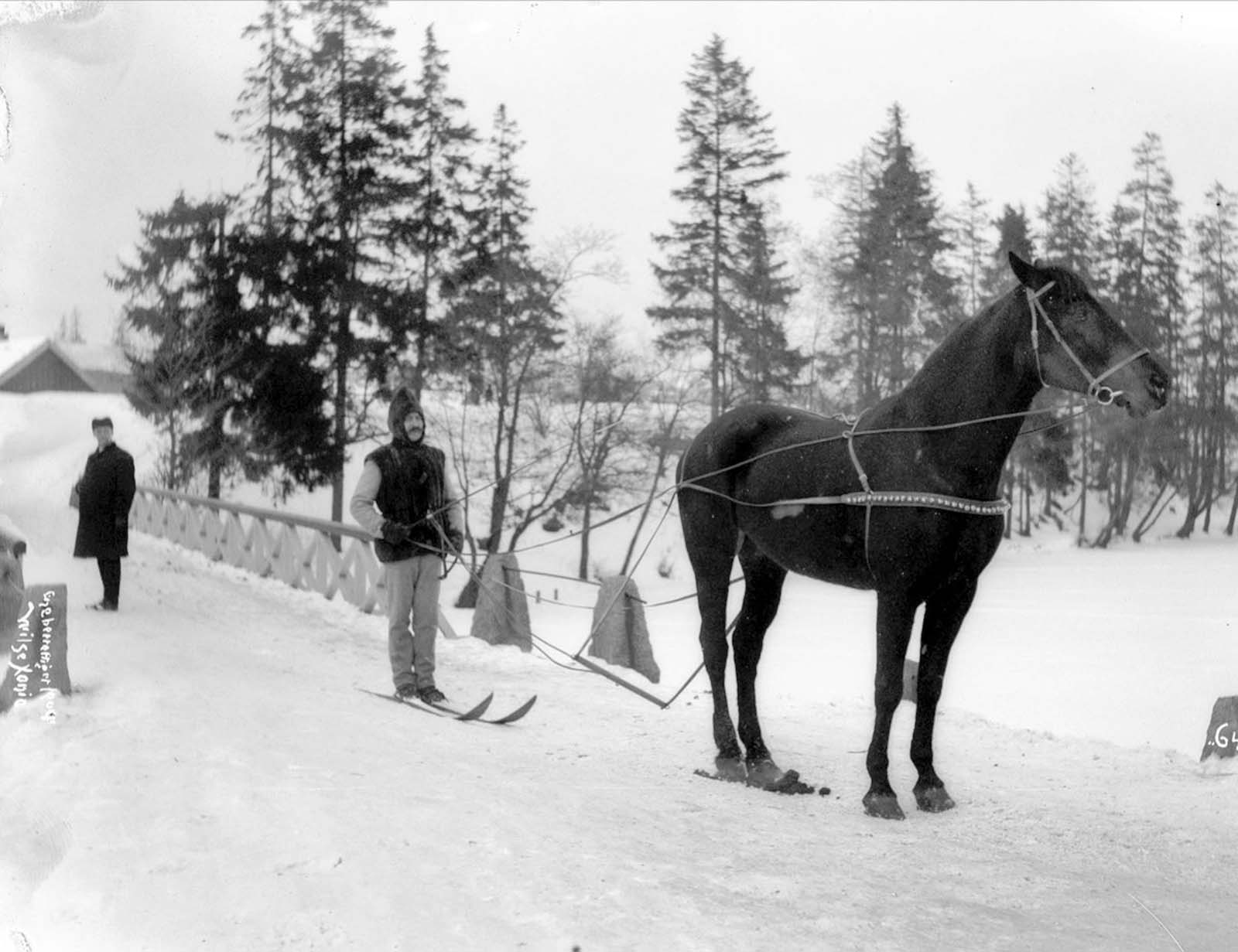 Norway, 1903.