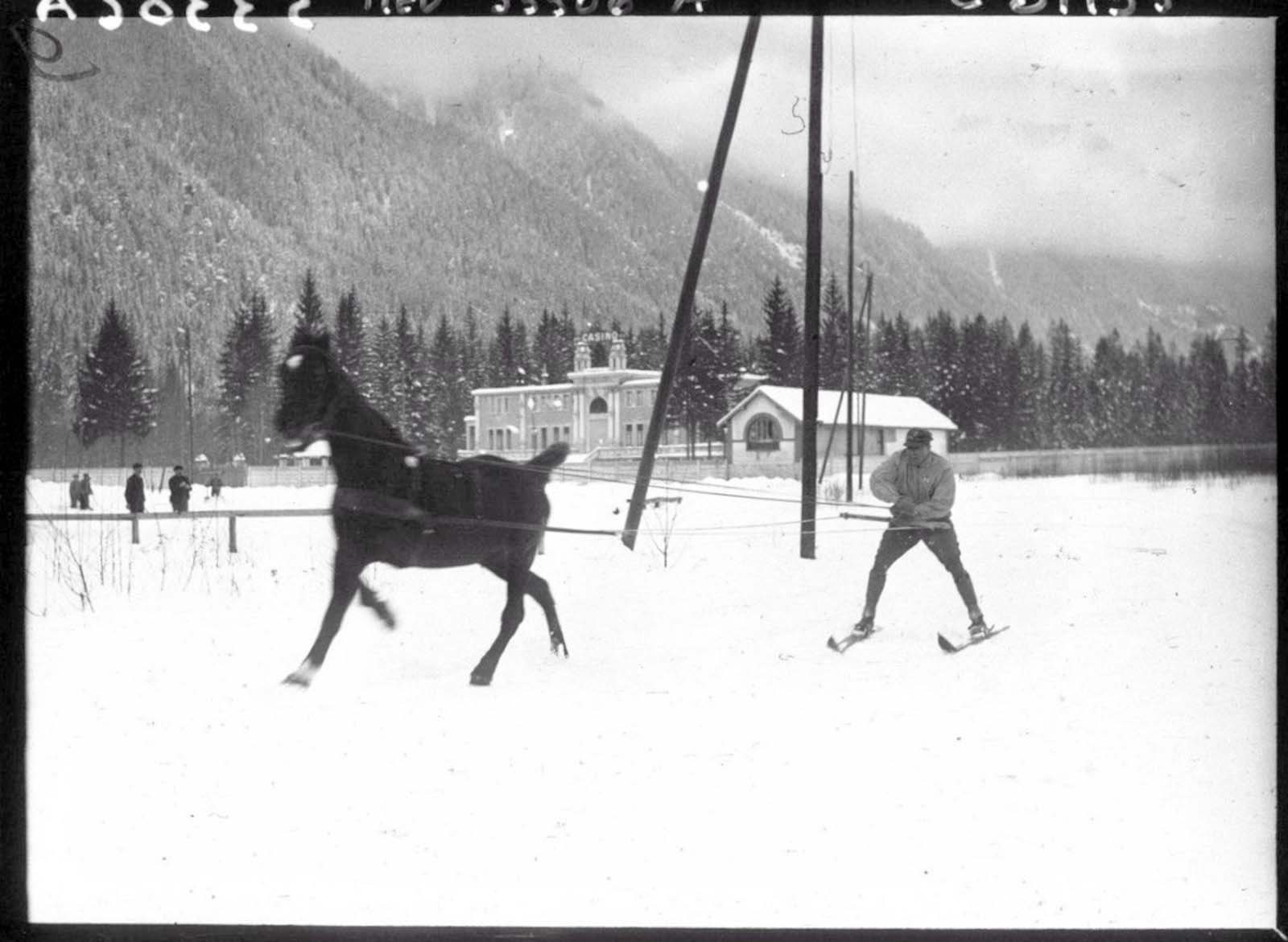 The skijoring line is usually at least 2.5 metres (8 feet) long.