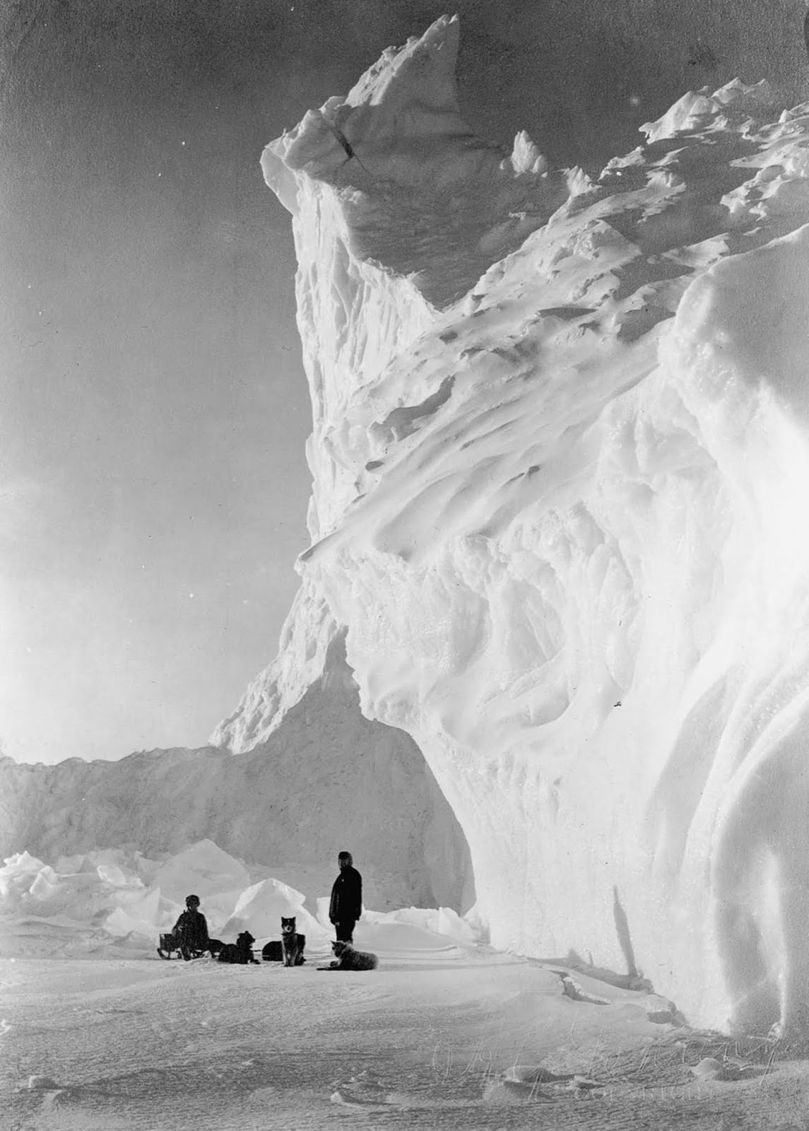 A dog team rests by an iceberg. 1911.