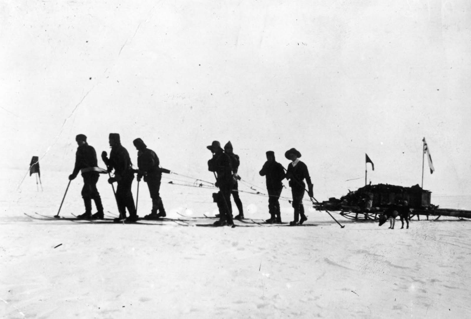 Capt. Scott leads a sledging party on a bid to reach the South Pole before Amundsen. January 1912.