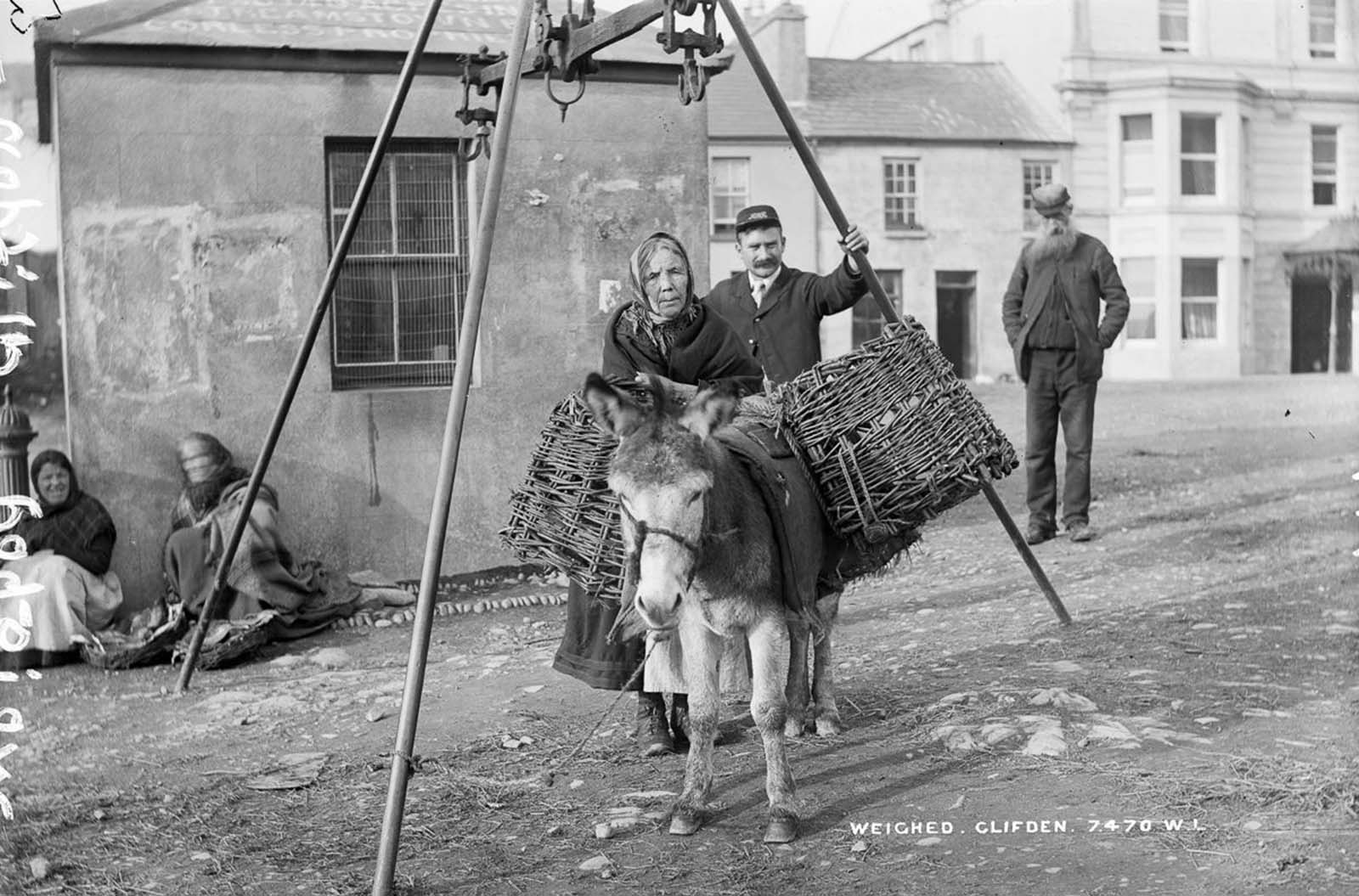 A weigh station in Clifden, County Galway. 1908.