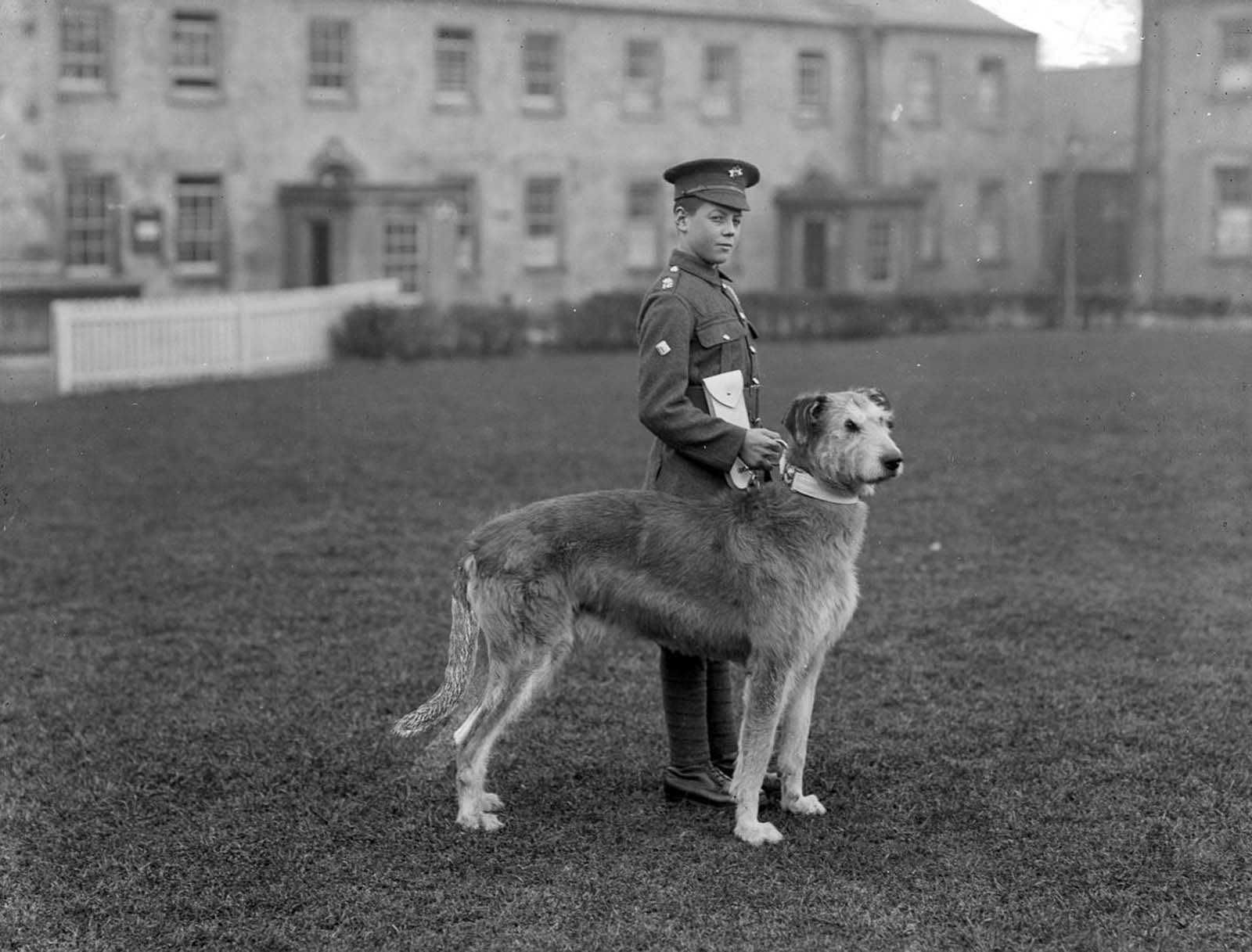 A young member of the Irish Guards at Waterford Barracks with the regiment's mascot, an Irish Wolfhound. 1917.
