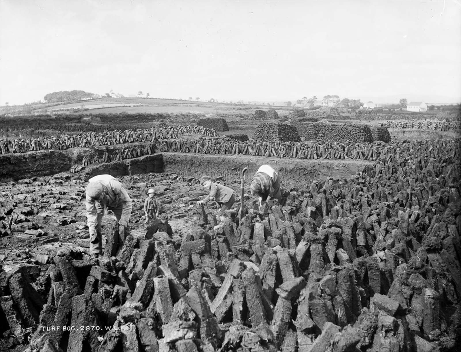 A family cuts turf near Ballymena. 1885.