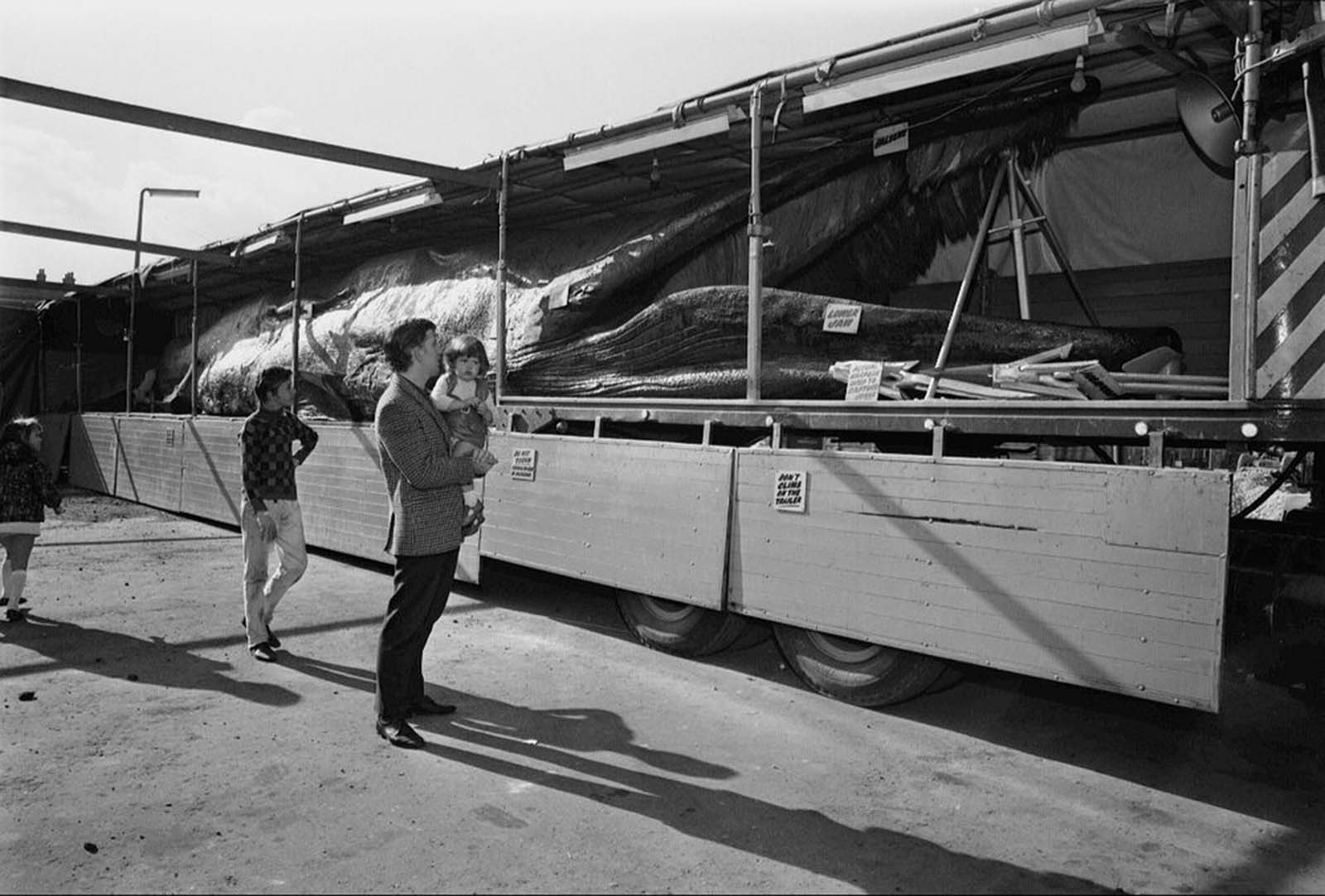 Jonah in the 1970s.