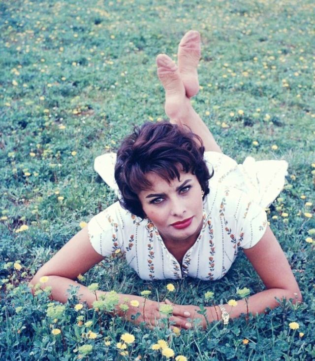 young sophia lore photos