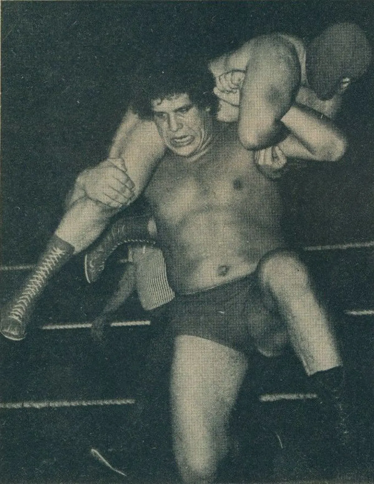 andre the giant photos