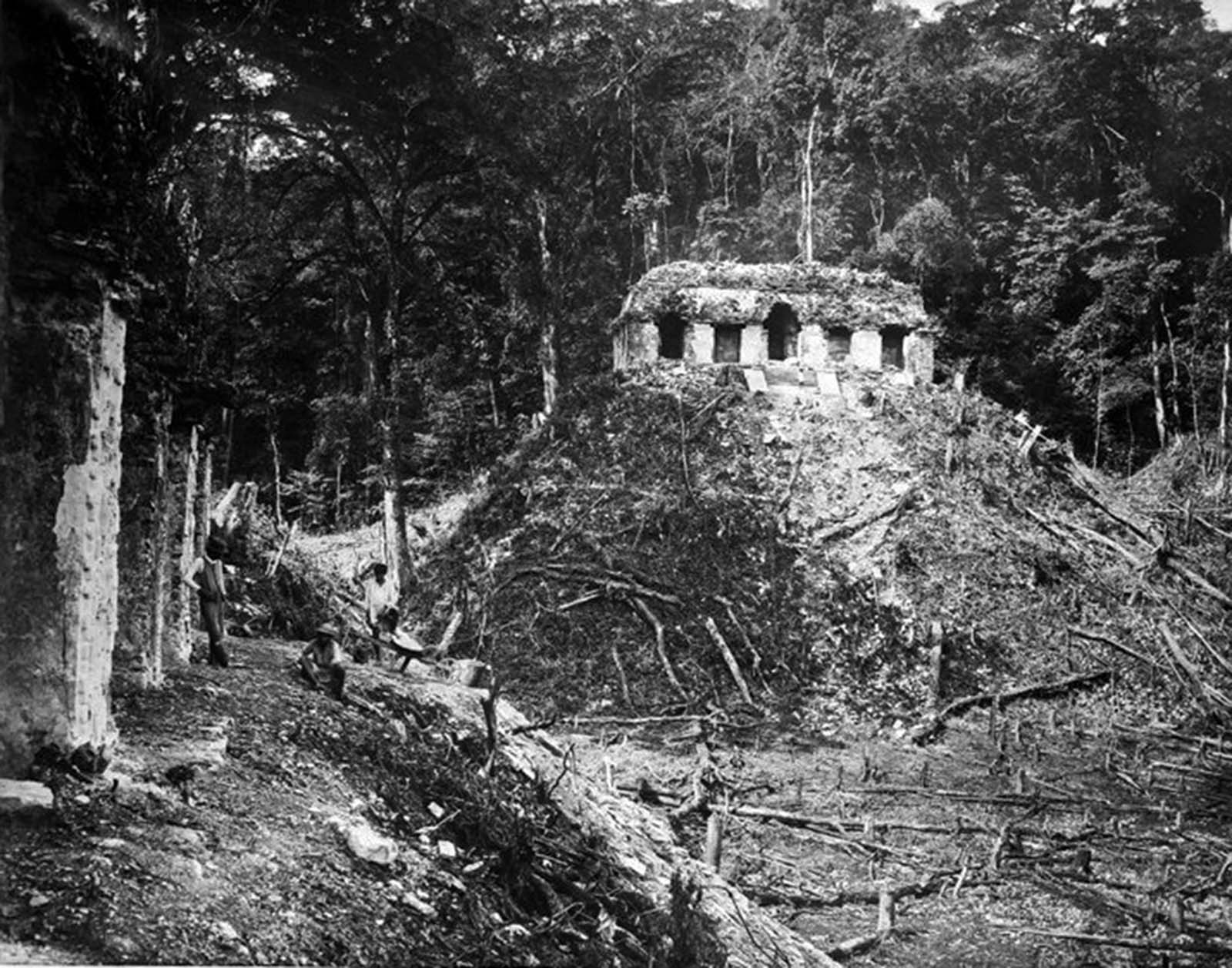 vintage photos discovery maya ruins