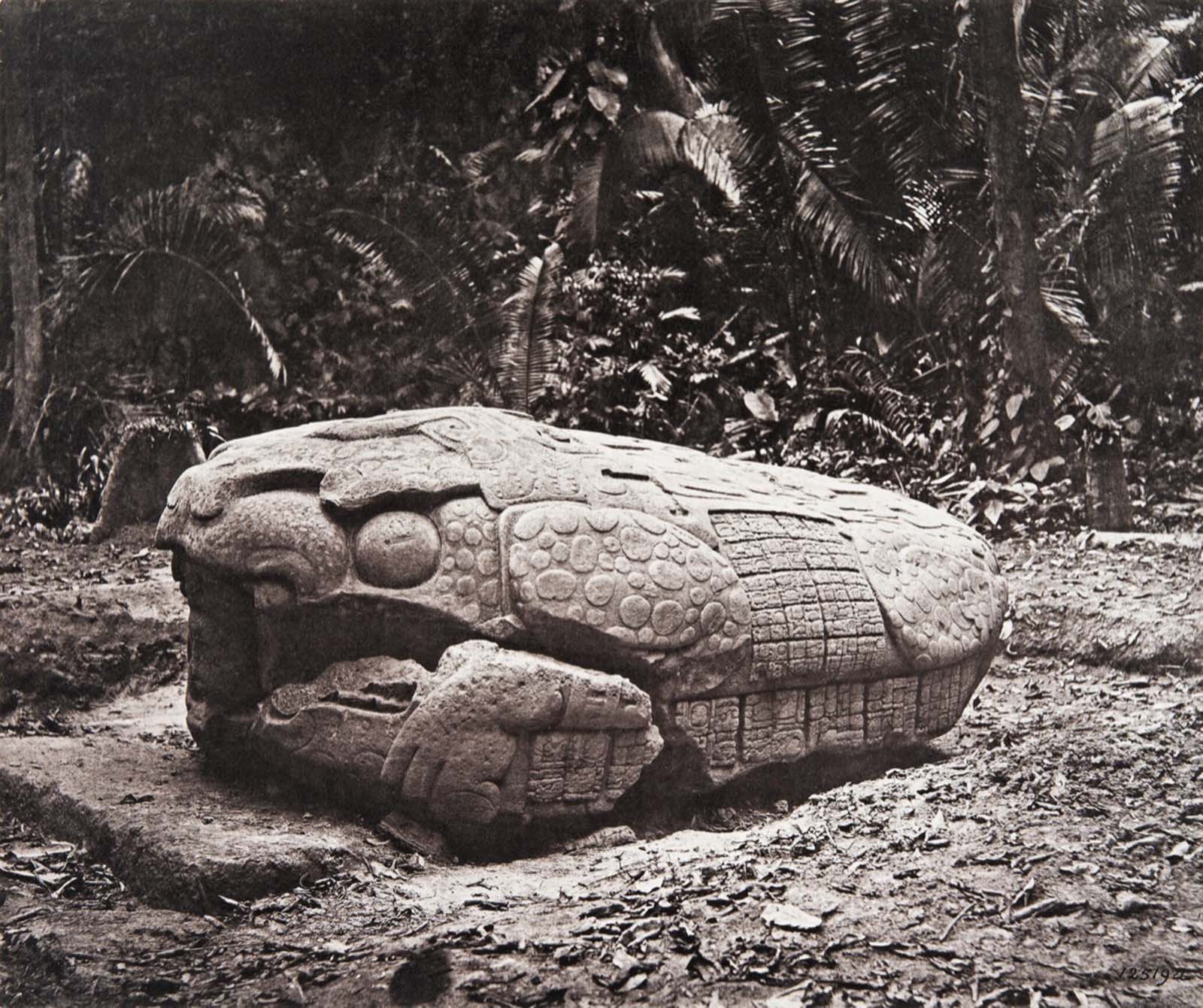 vintage photos discovery maya ruins