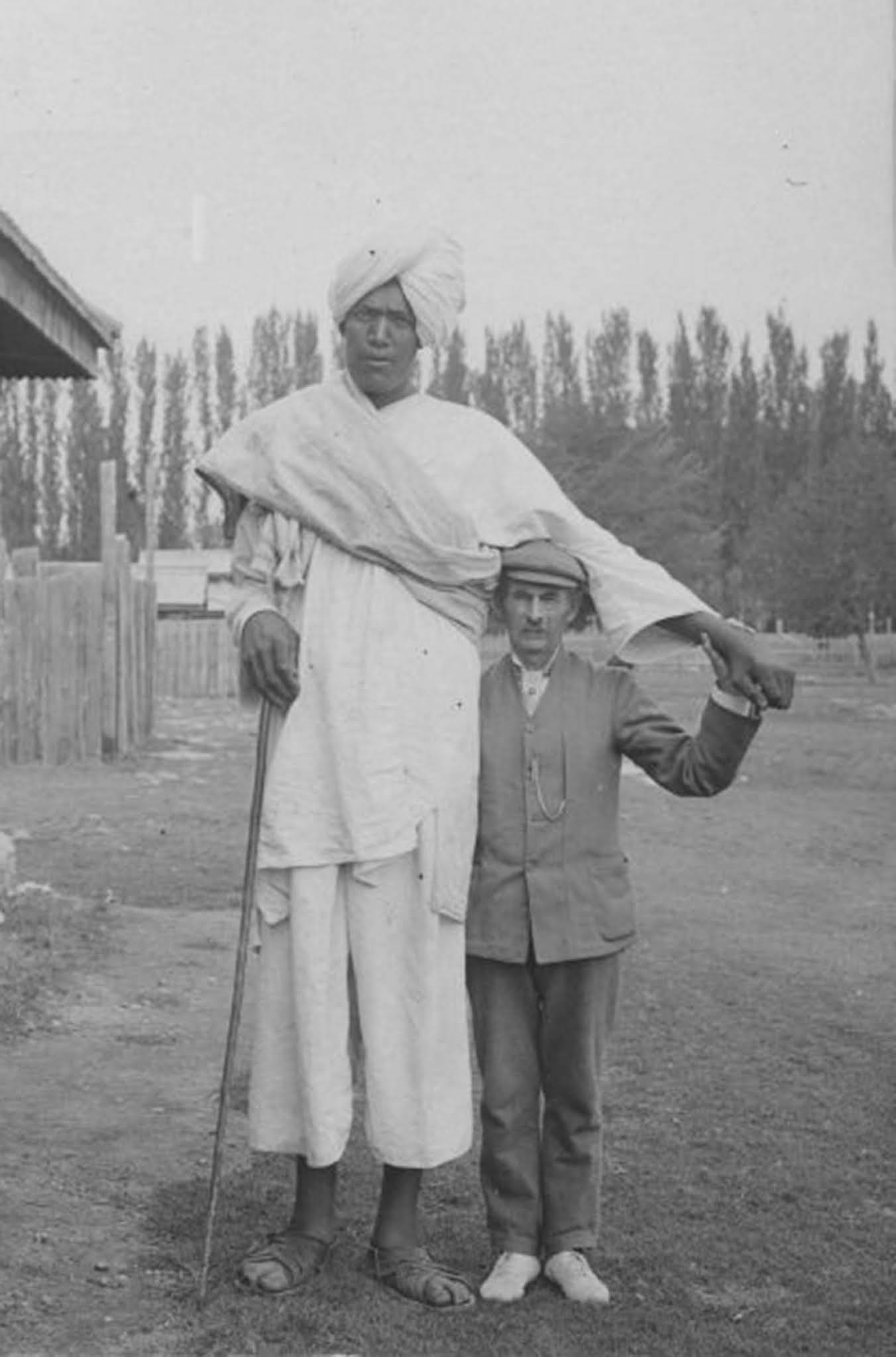 kashmir giants, two giants of kashmir