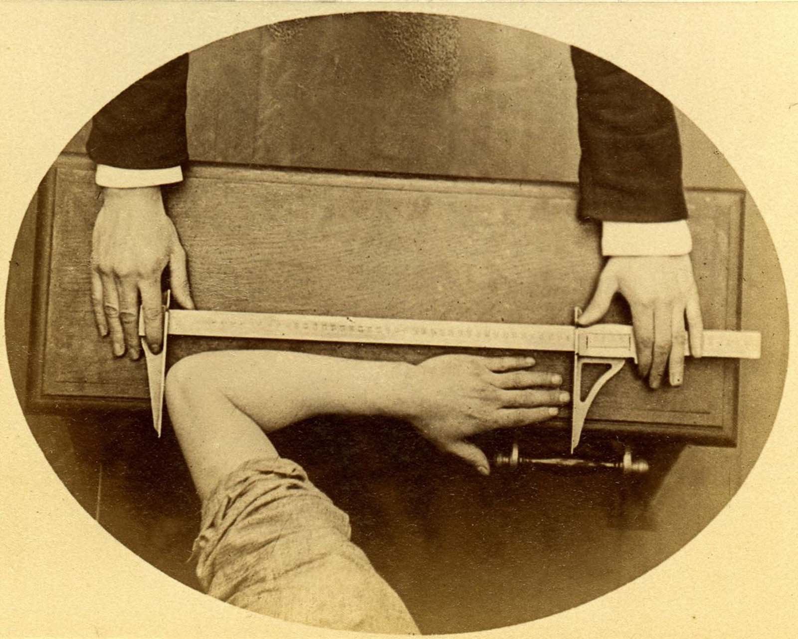 bertillon system rare photographs