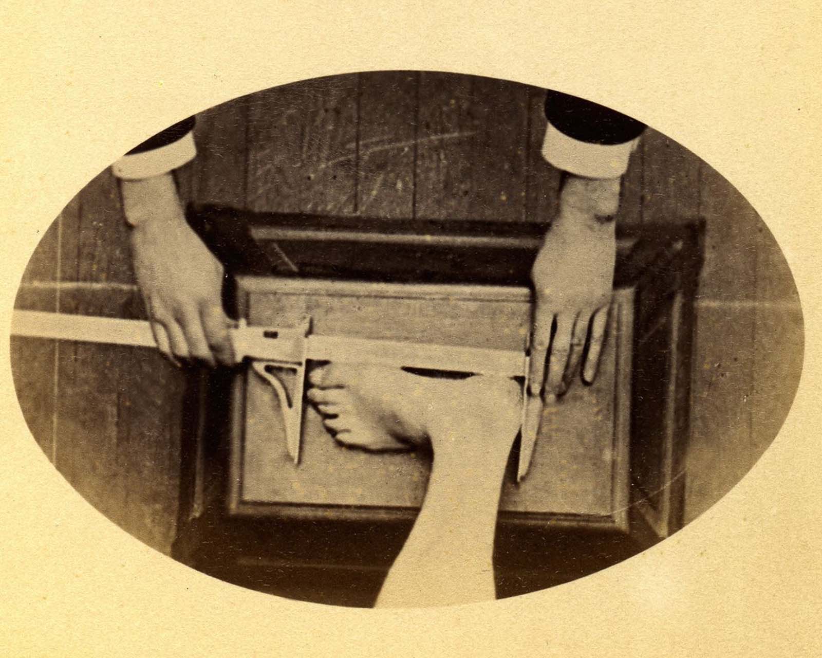 bertillon system rare photographs