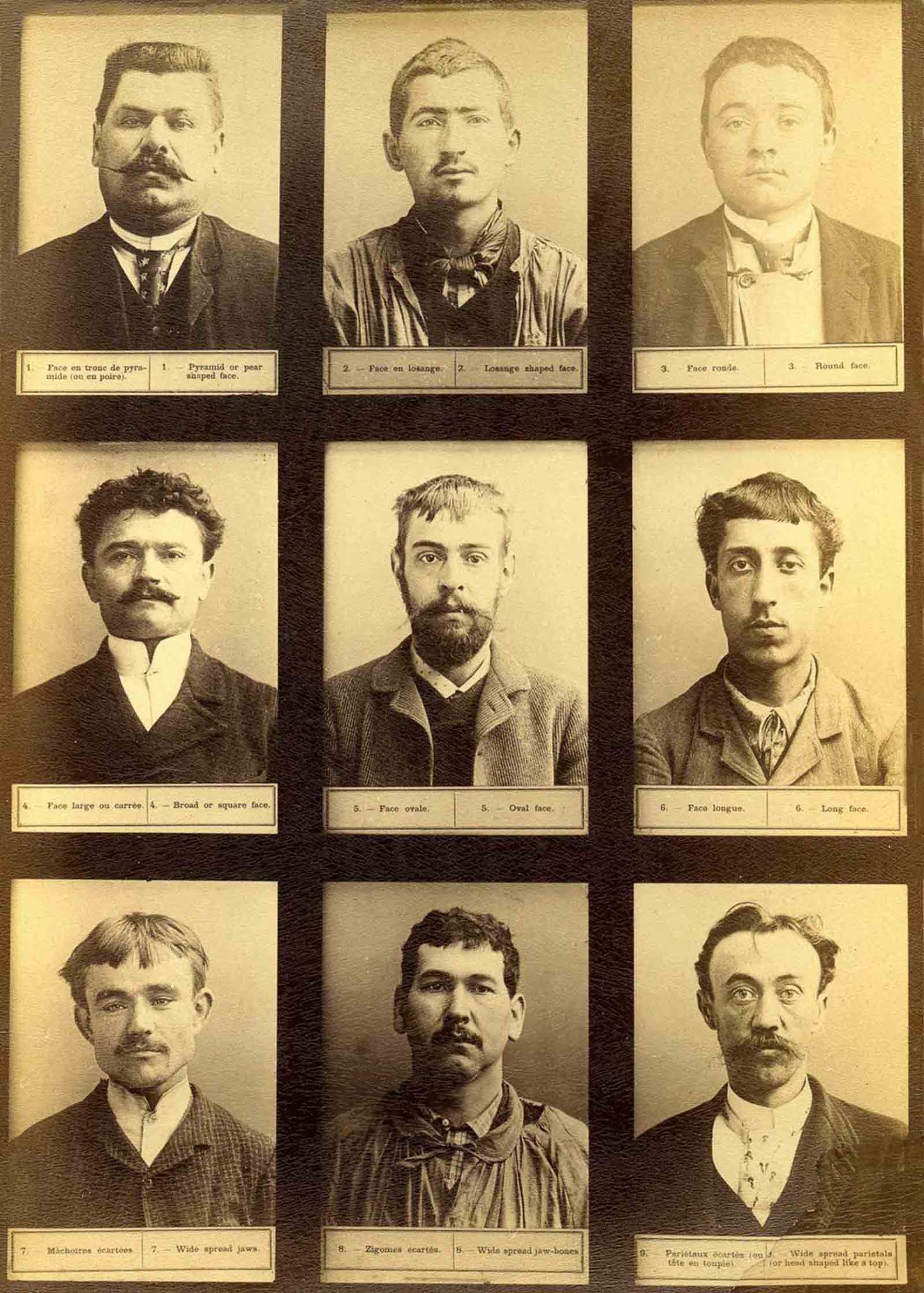 bertillon system rare photographs