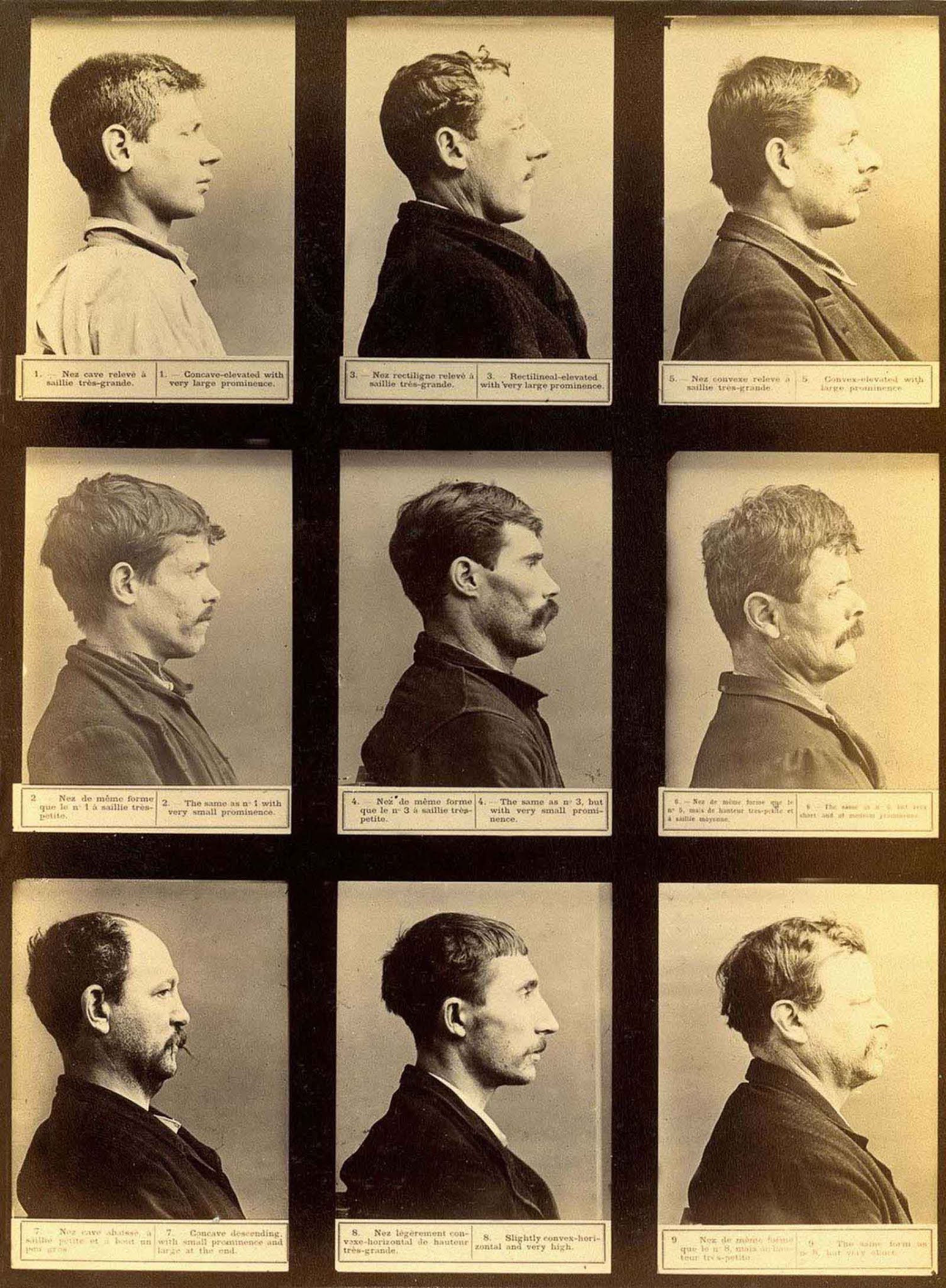 bertillon system rare photographs