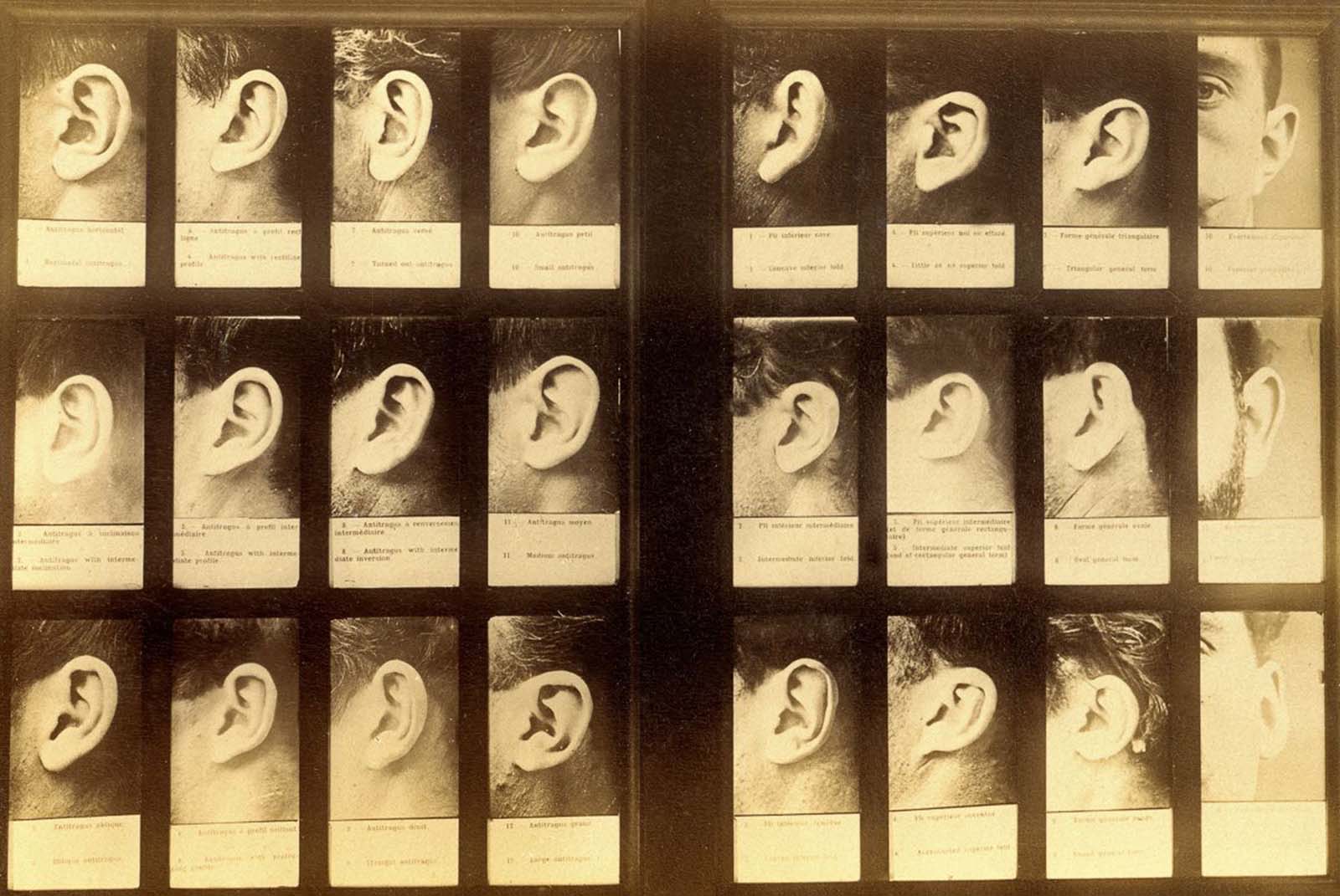 bertillon system rare photographs