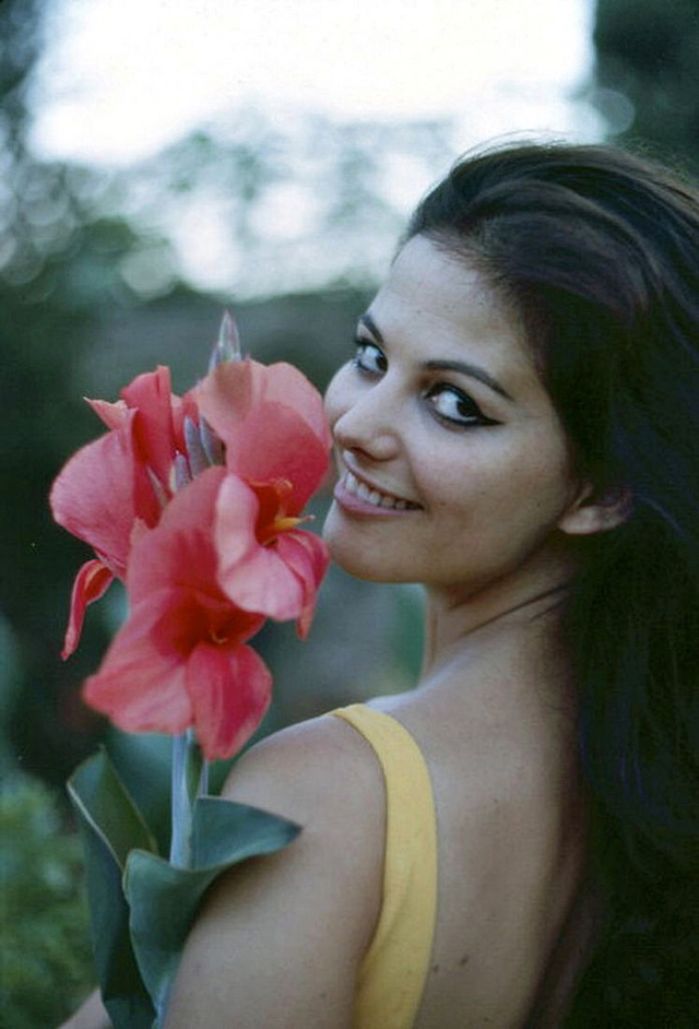 young claudia cardinale photos