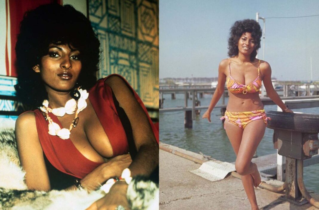 Stunning Photos of Young Pam Grier in the 1970s