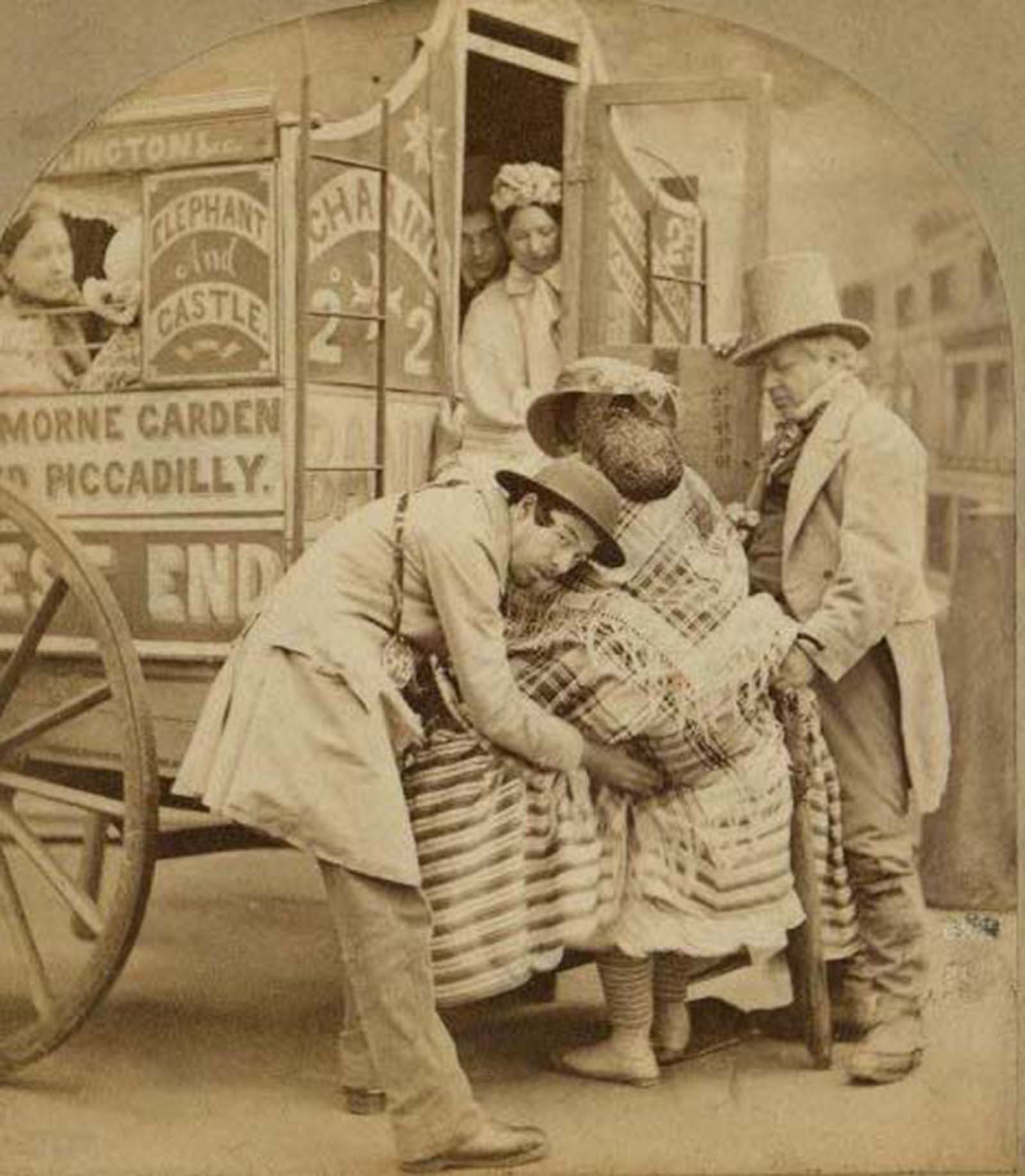 crinoline historical photos