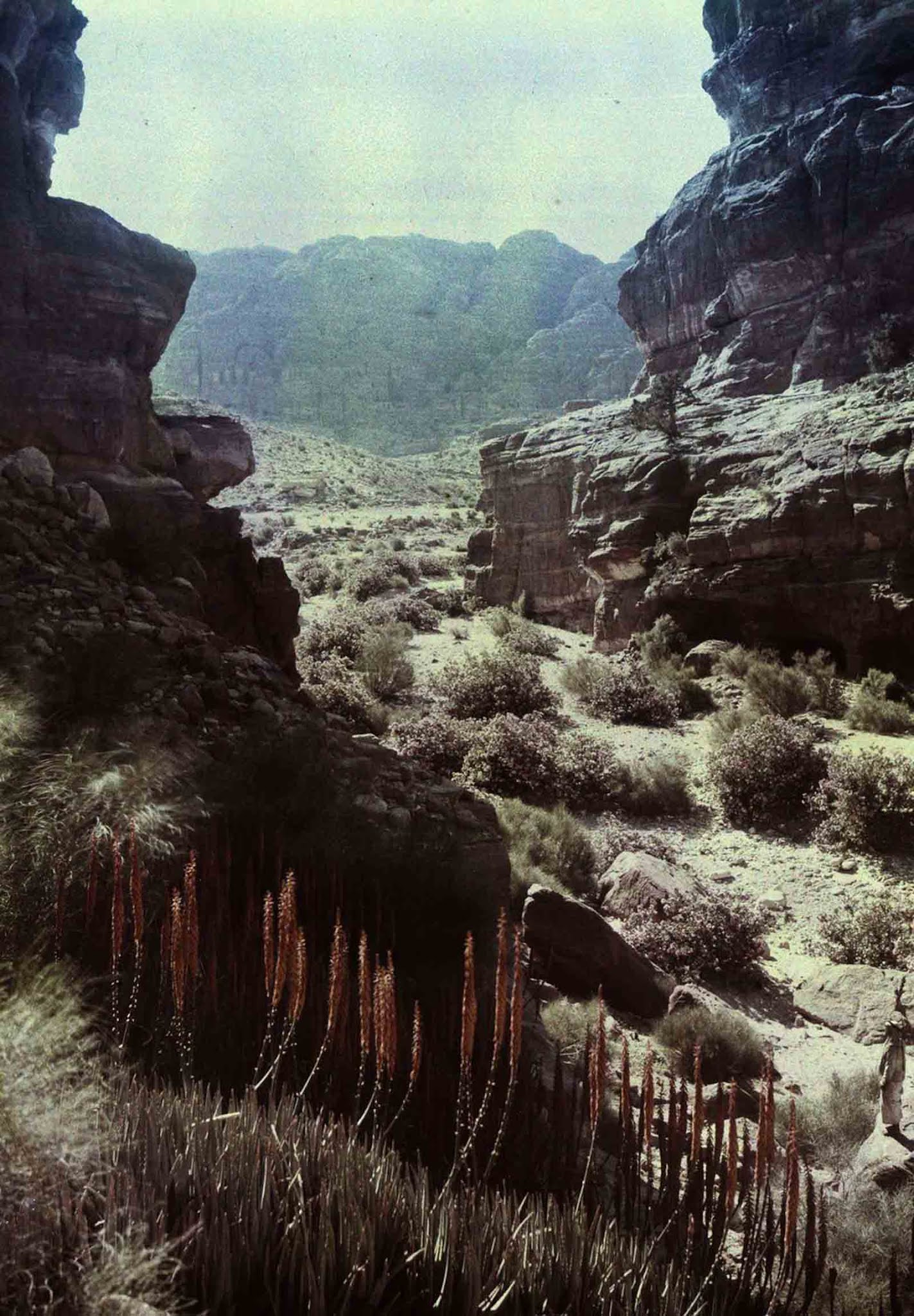 Petra Old Color Images