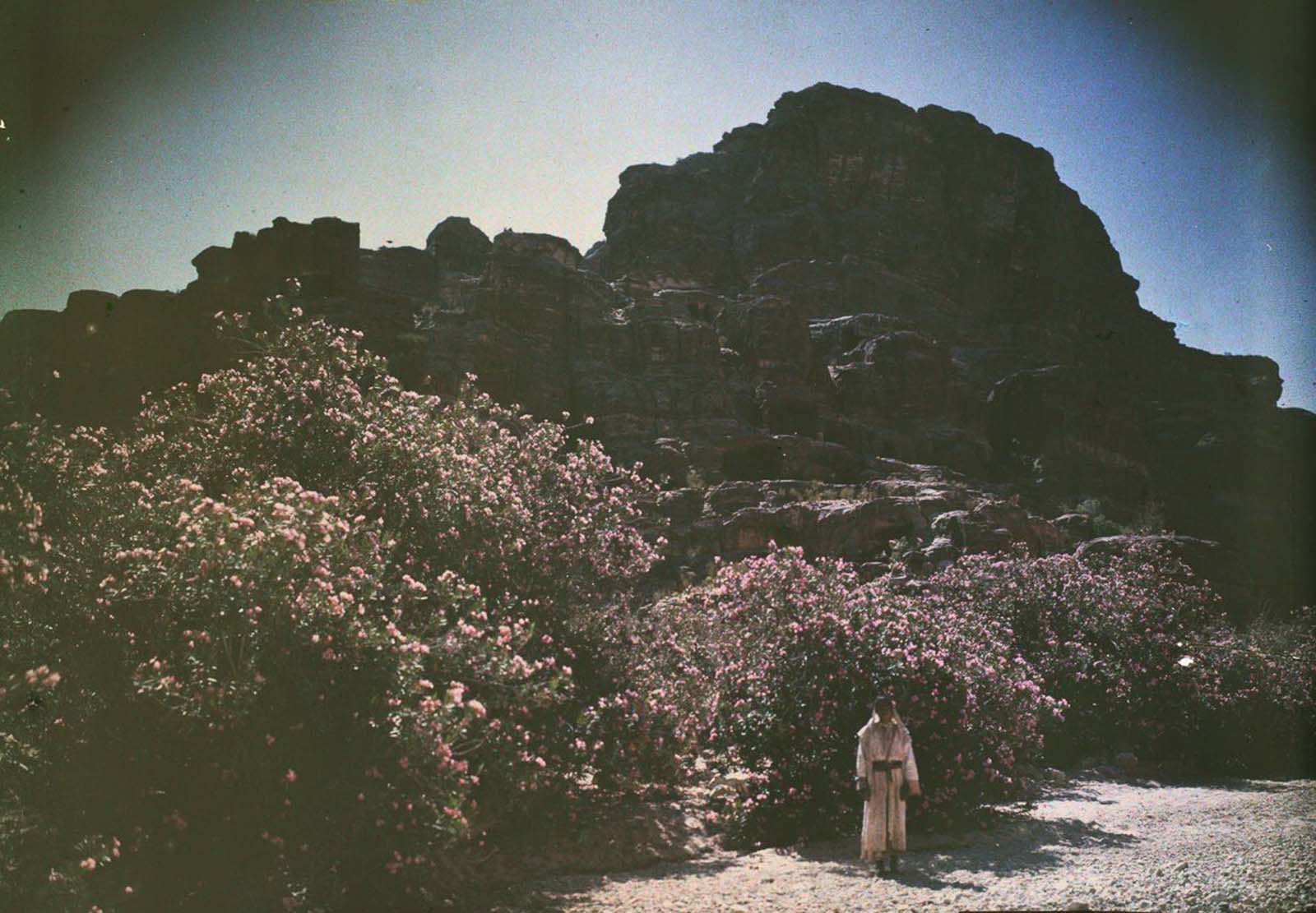 Petra Old Color Images