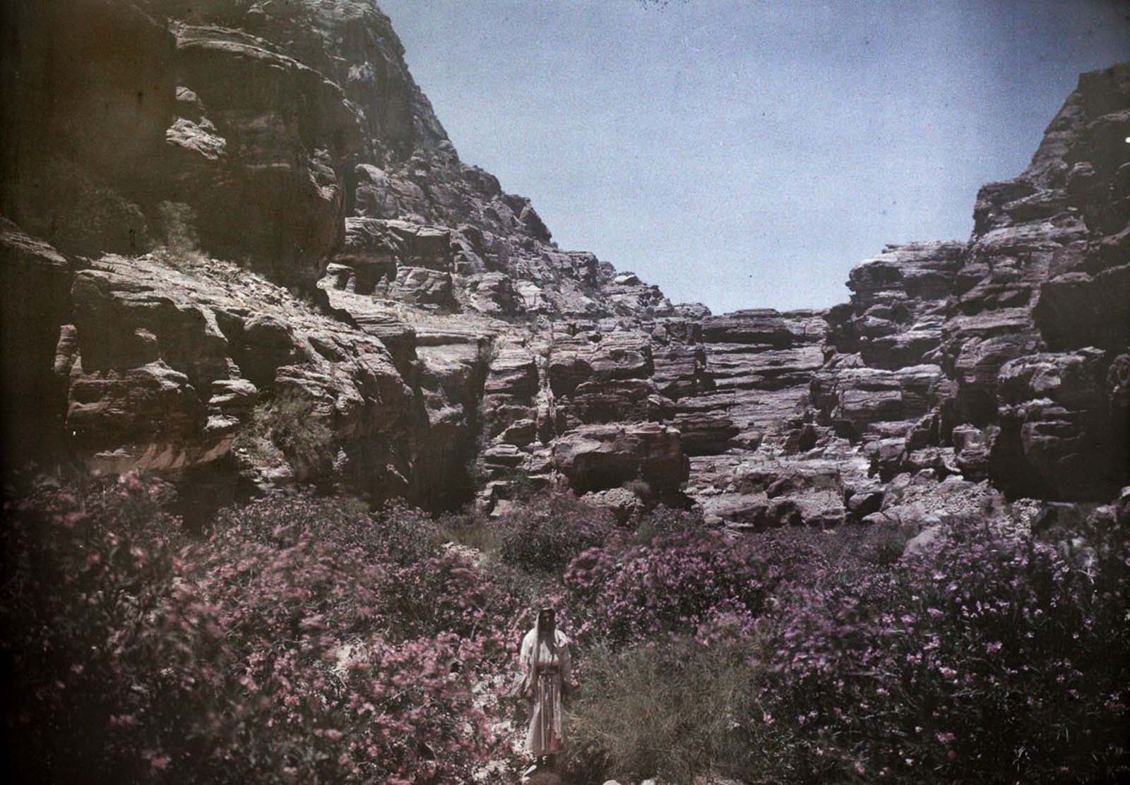 Petra Old Color Images