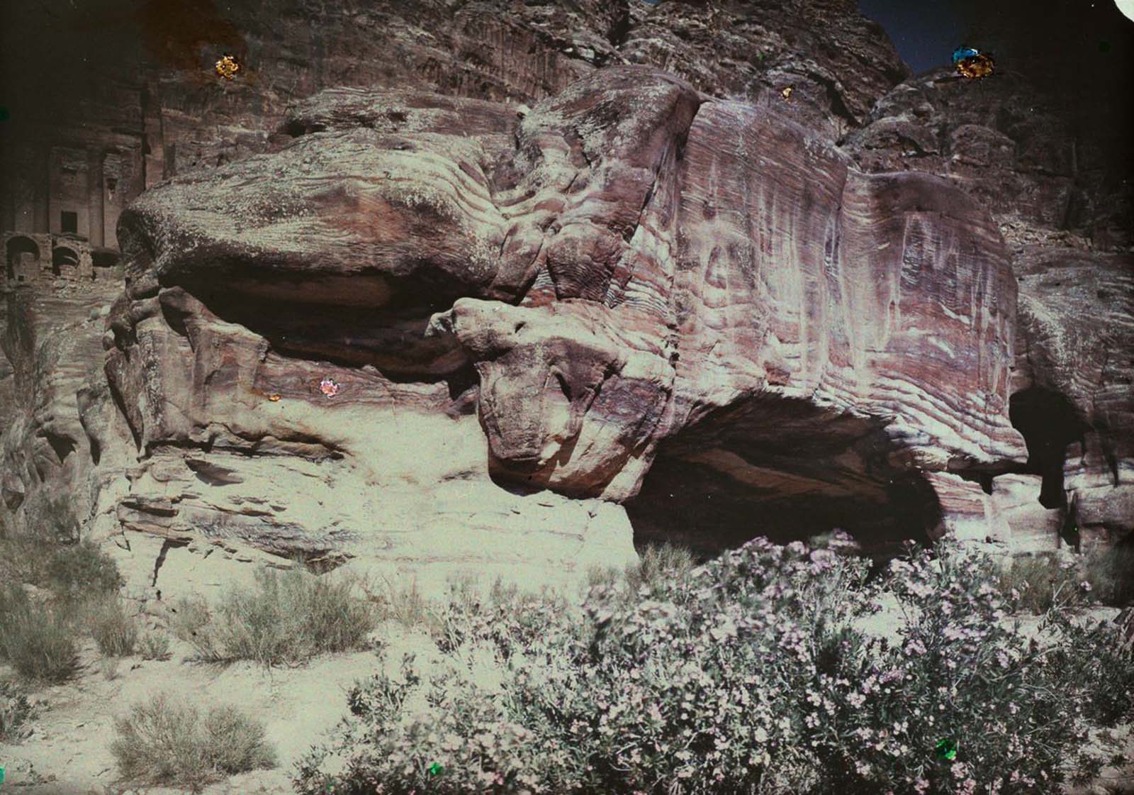 Petra Old Color Images