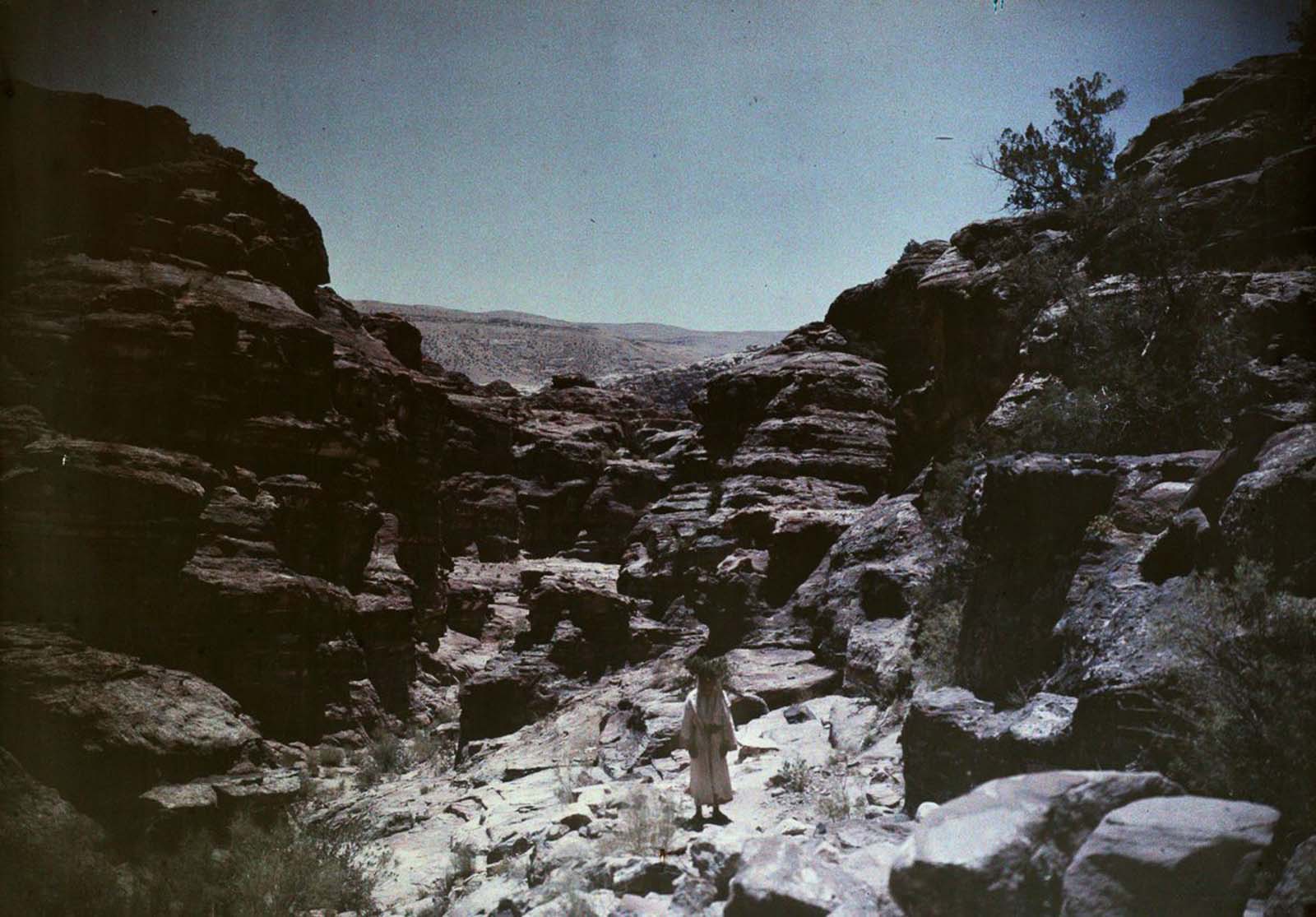 Petra Old Color Images