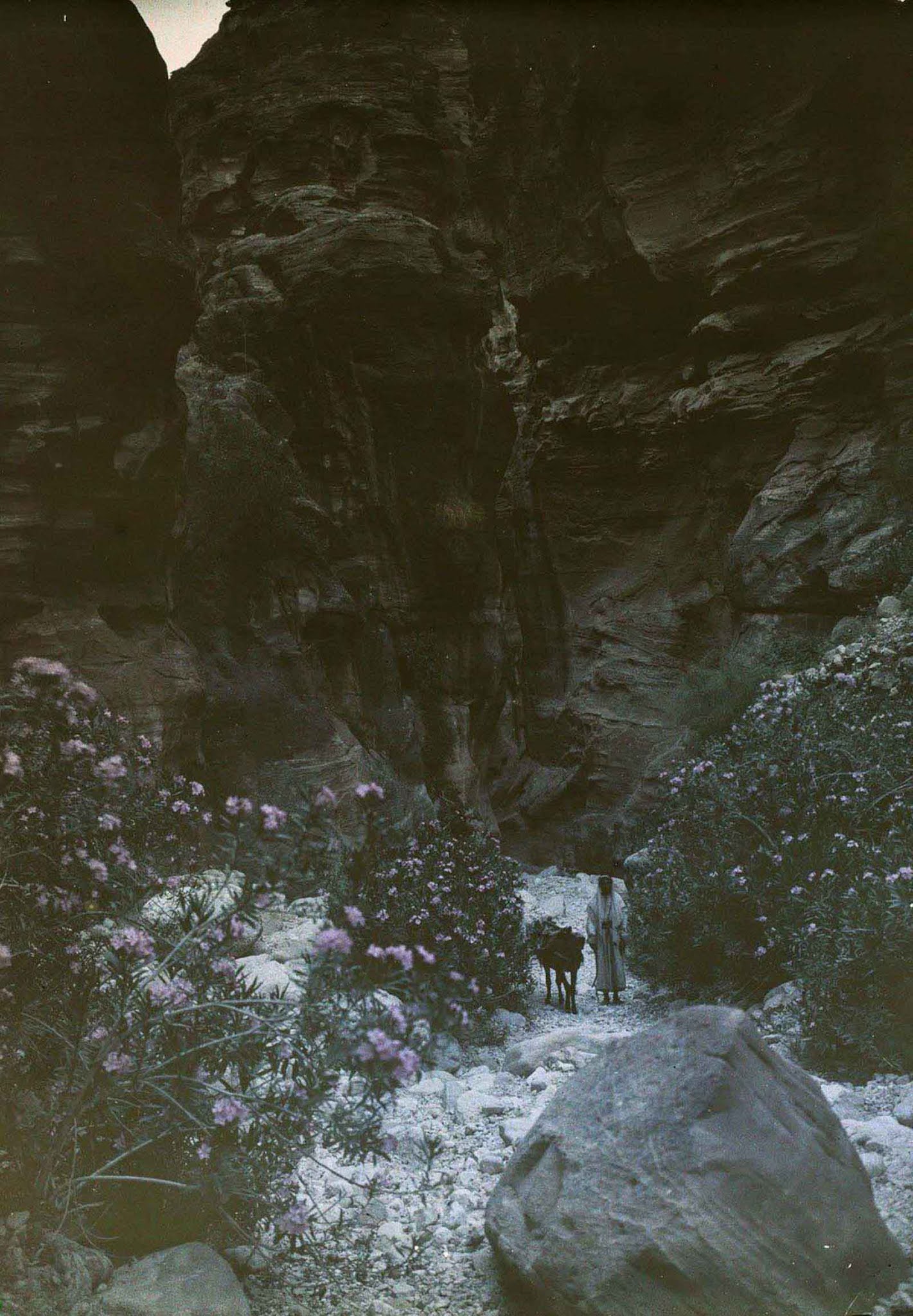 Petra Old Color Images